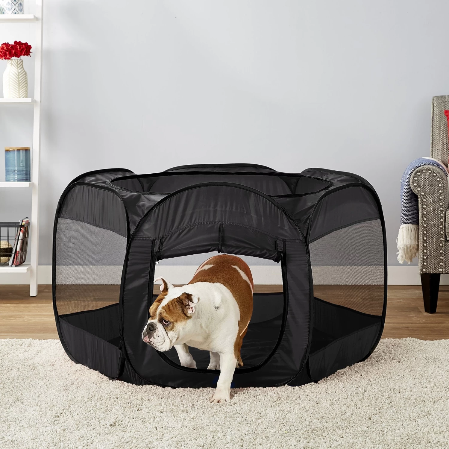Paws & Pals Insta-Fort Portable Soft-sided Dog & Cat Playpen