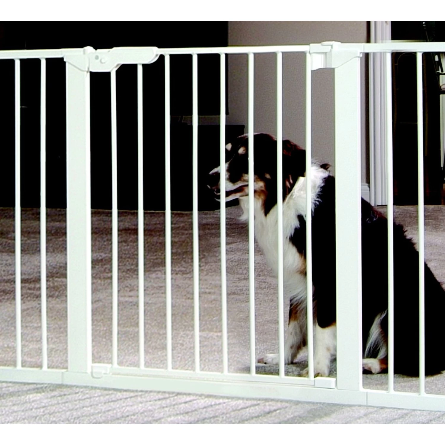 Command Pet Products 42" Tall Pressure Mounted Pet Gate, White - Image 3