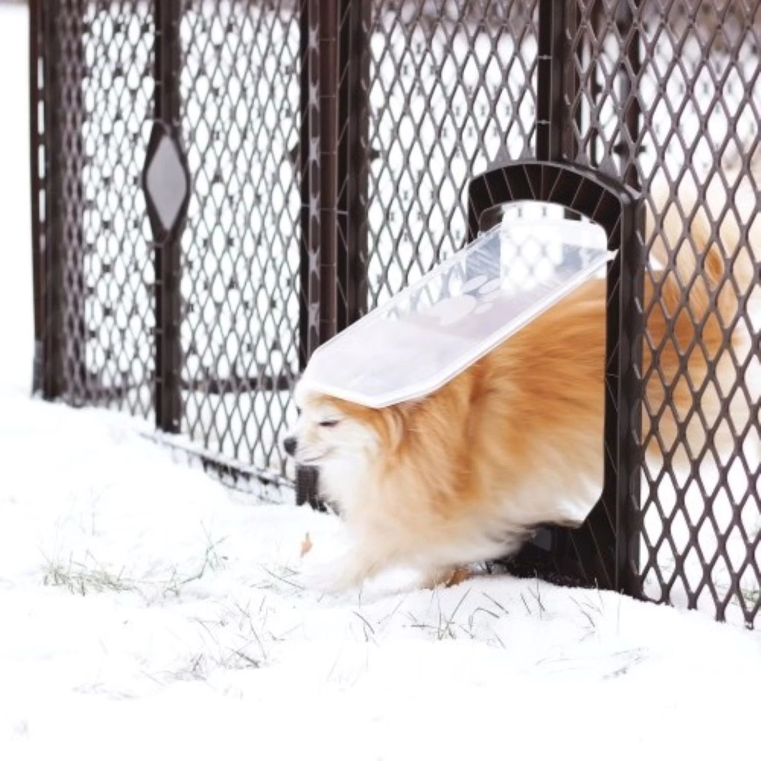 MyPet 8-Panel Petyard Passage Plastic Dog Pen - Image 9