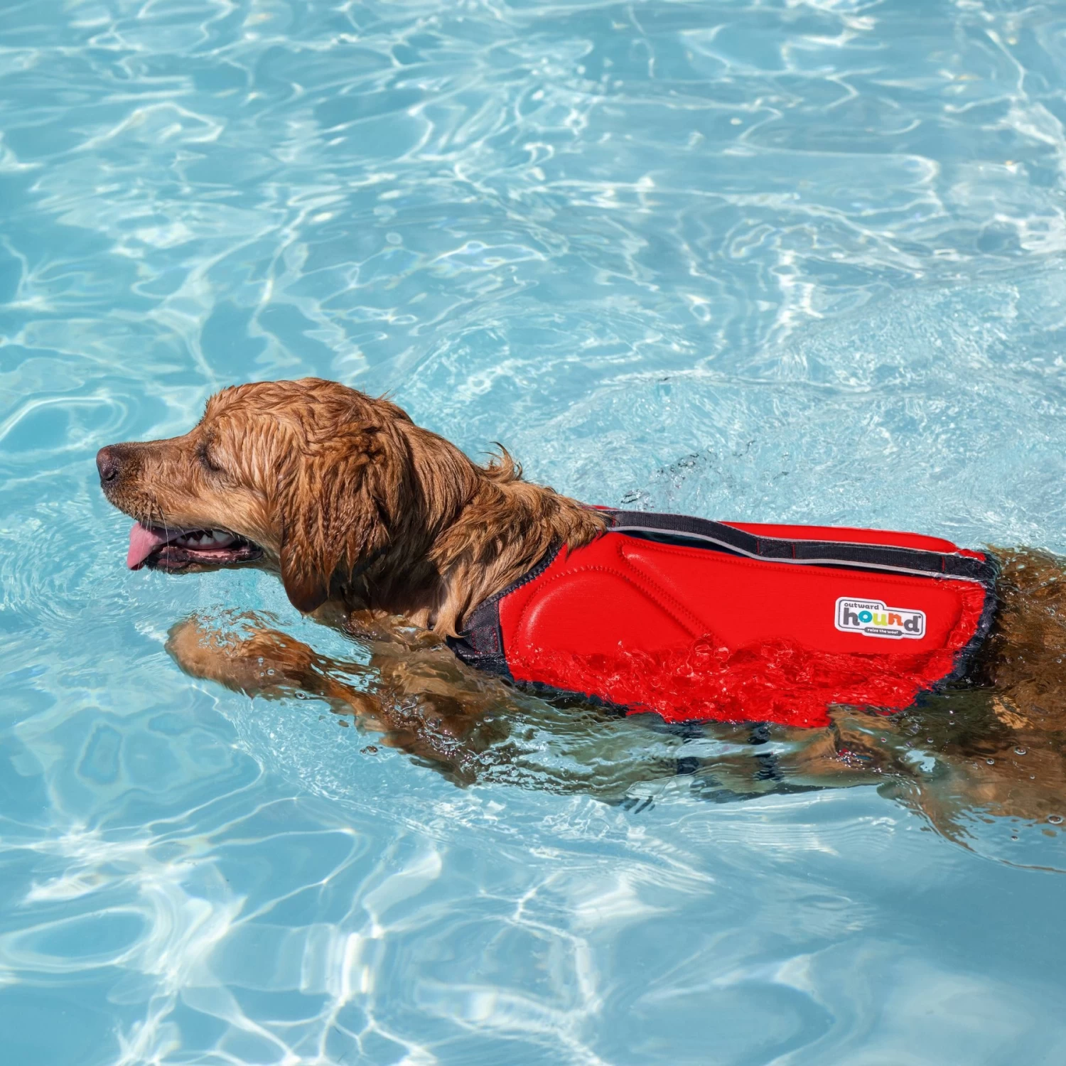 Outward Hound Neoprene Dawson Swimmer Dog Life Jacket - Image 6