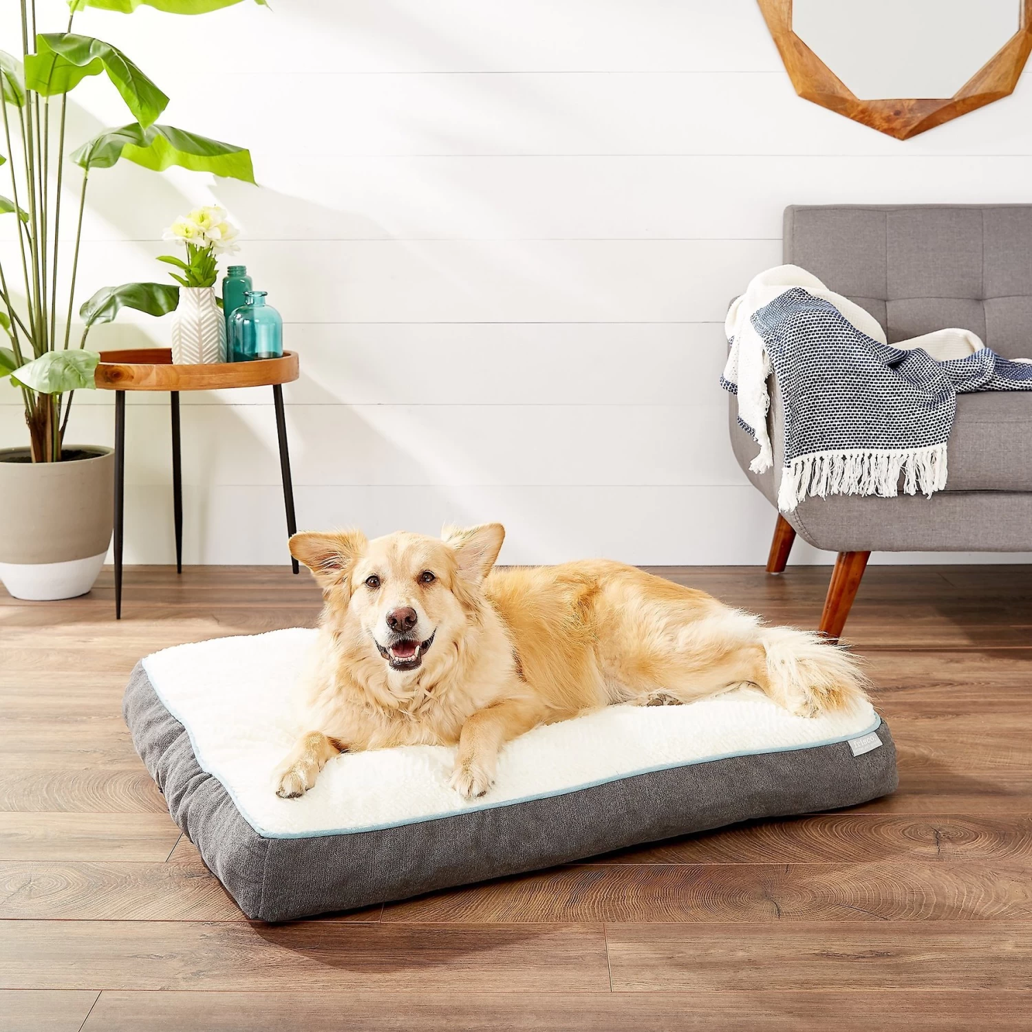Frisco Plush Pillow Cat & Dog Bed W/ Removable Cover