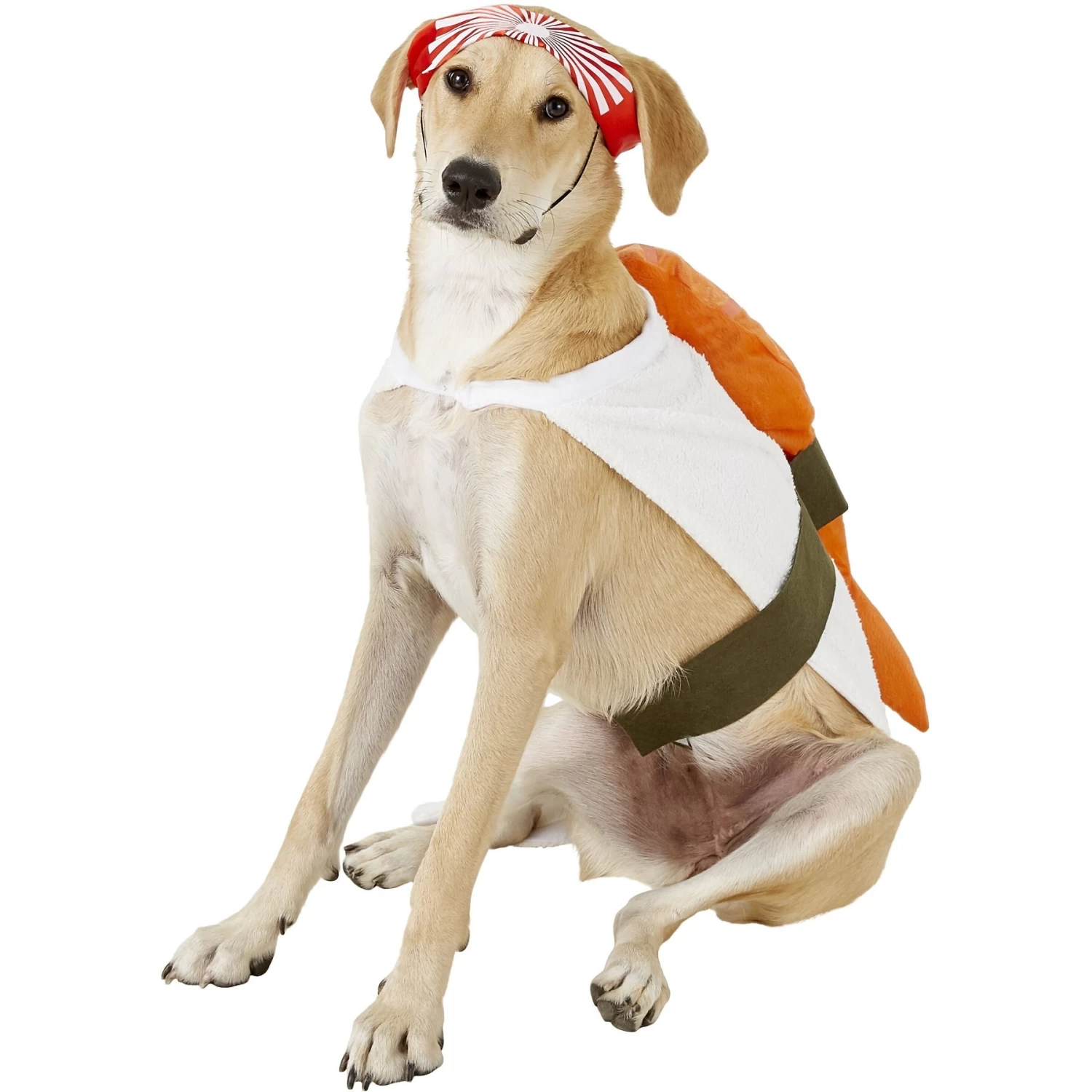 Rubie's Costume Company Sushi Dog & Cat Costume - Image 5