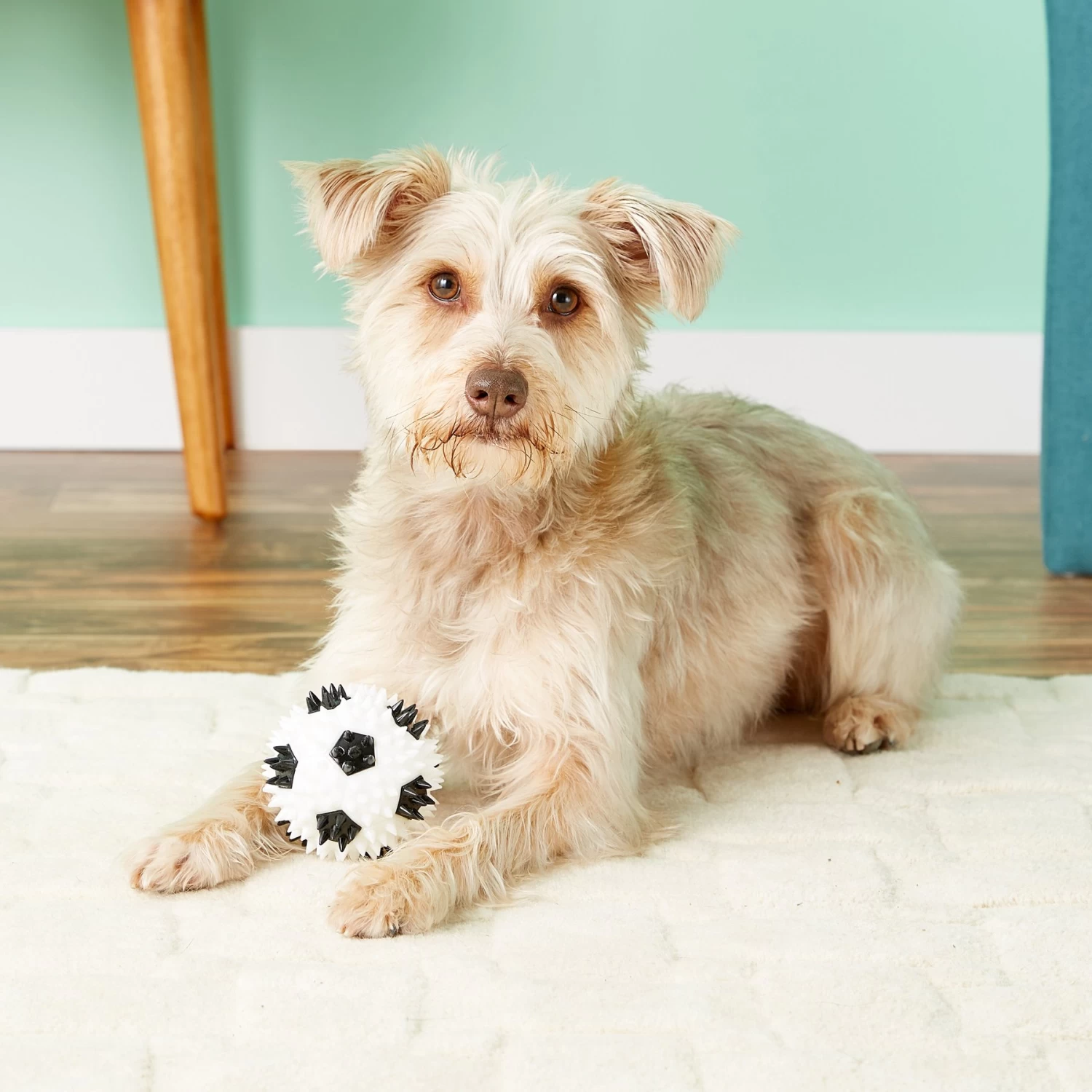 Gnawsome Squeaker Soccer Ball Dog Toy, Medium - Image 3