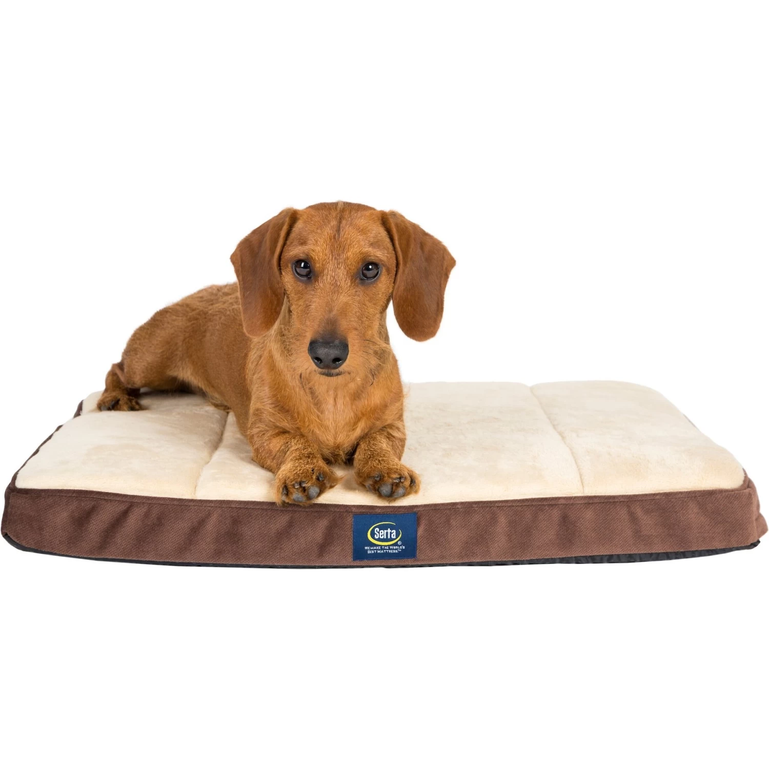 Serta Orthopedic Memory Foam Dog & Cat Crate Mat, Mocha - Image 2