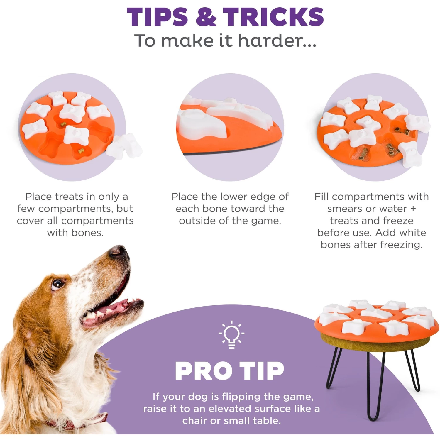 Nina Ottosson By Outward Hound Puppy Smart Dog Toy - Image 5