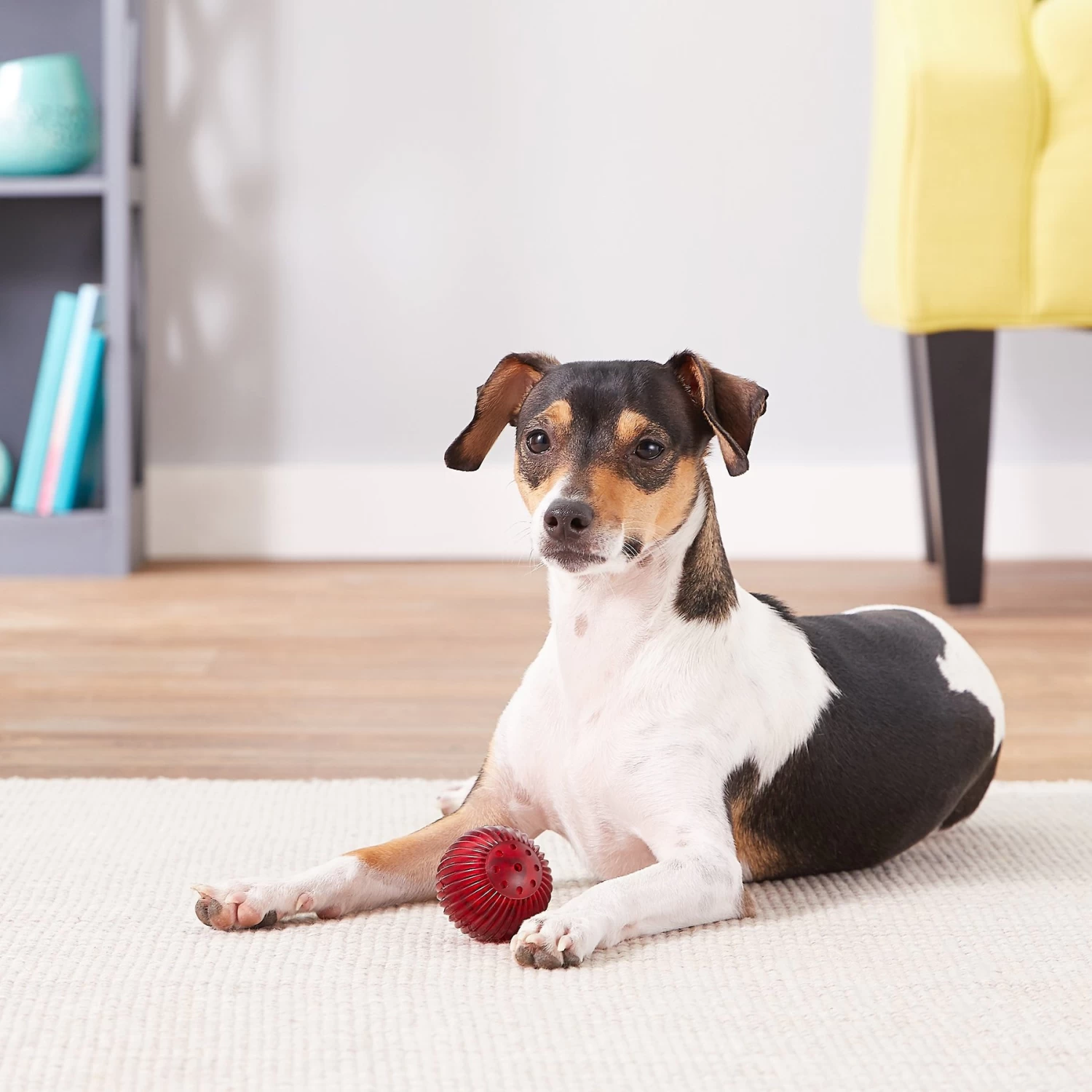 Pet Qwerks Blinky Babble Ball Dog Toy - Image 3