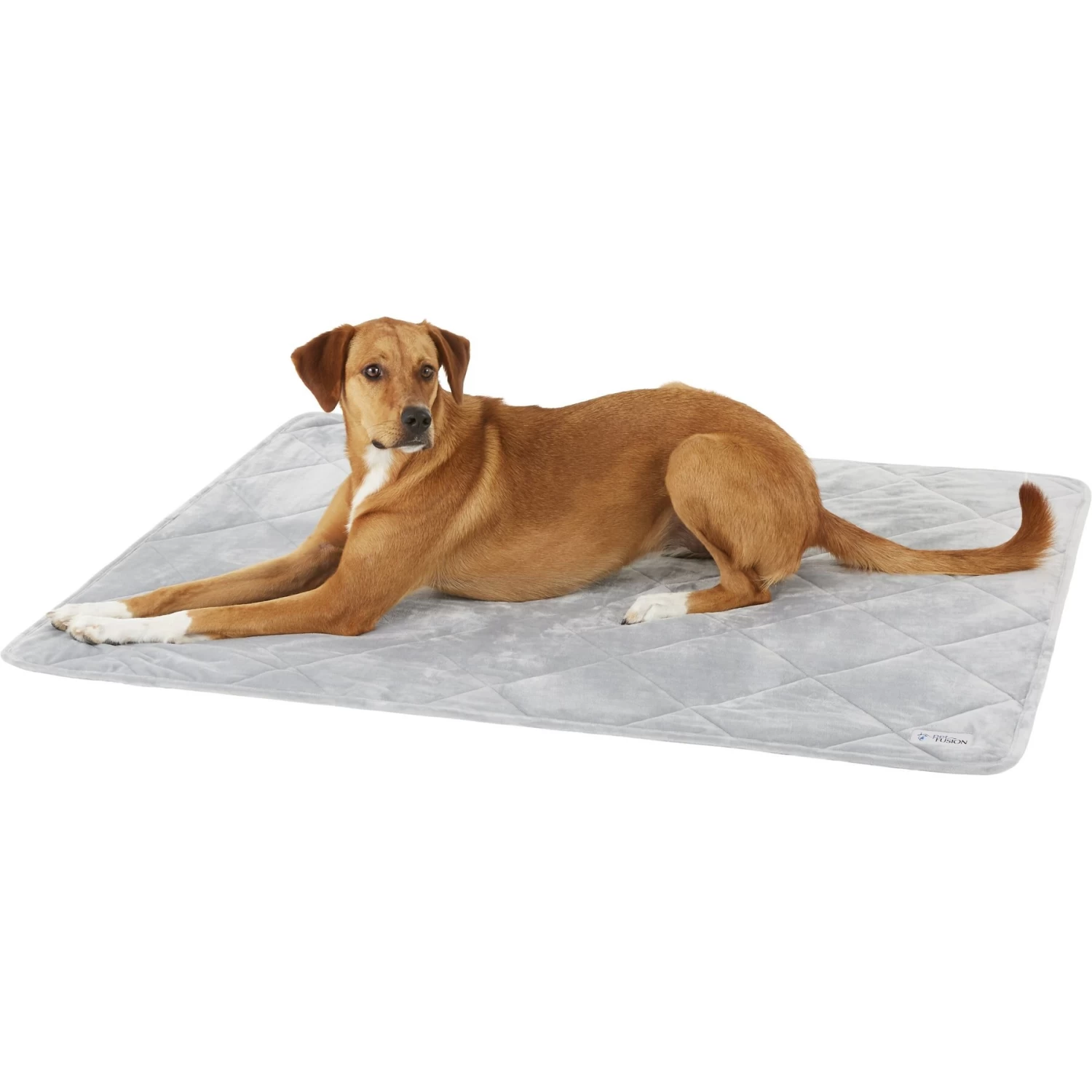 PetFusion Microplush Quilted Dog & Cat Blanket - Image 3