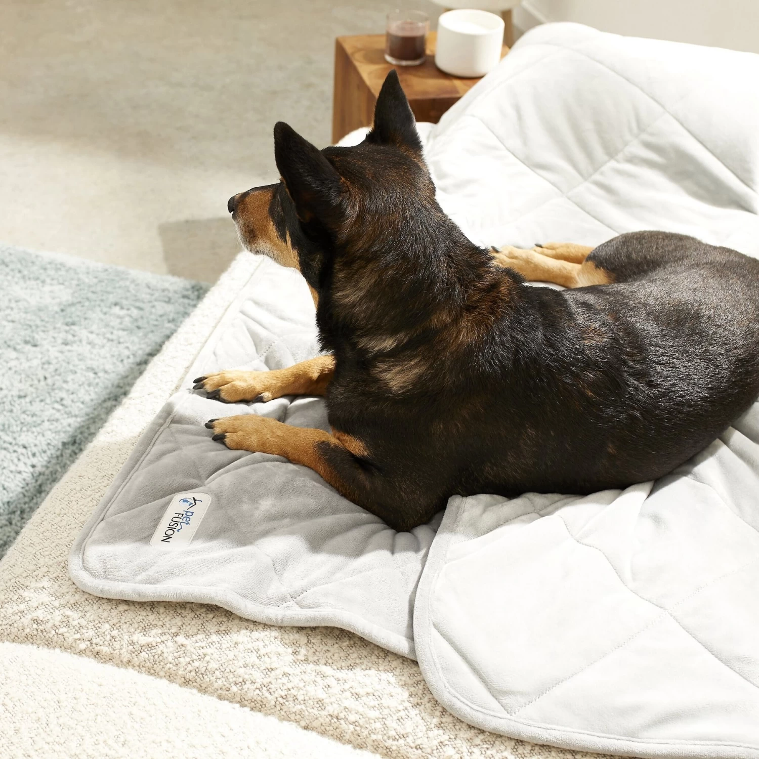 PetFusion Microplush Quilted Dog & Cat Blanket - Image 5