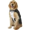 Frisco Formal Dog & Cat Tuxedo, Black