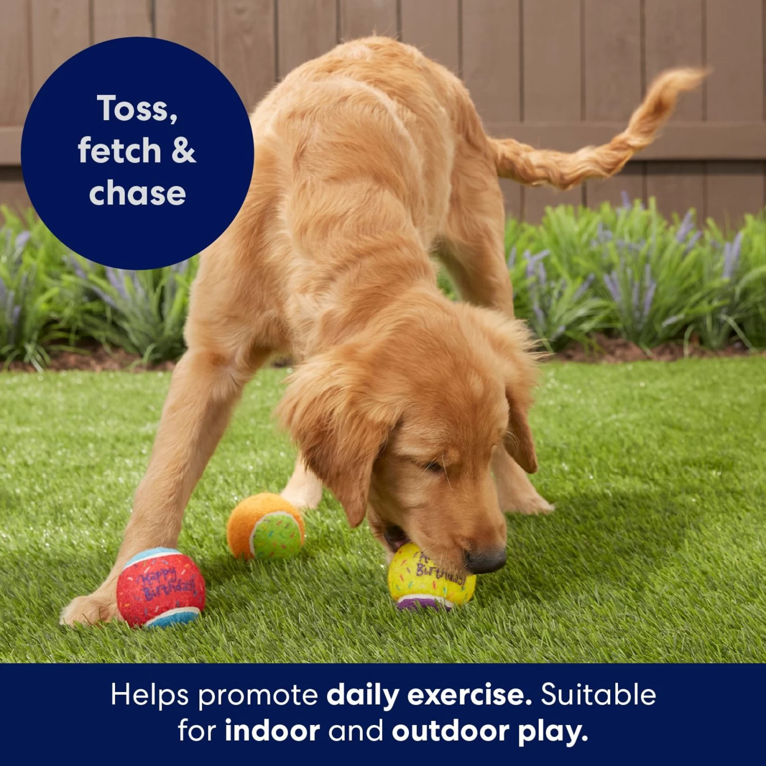 Frisco Birthday Fetch Squeaky Tennis Ball Dog Toy - Image 4