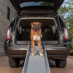 PetSafe Happy Ride Deluxe Compact Telescoping Dog Car Ramp