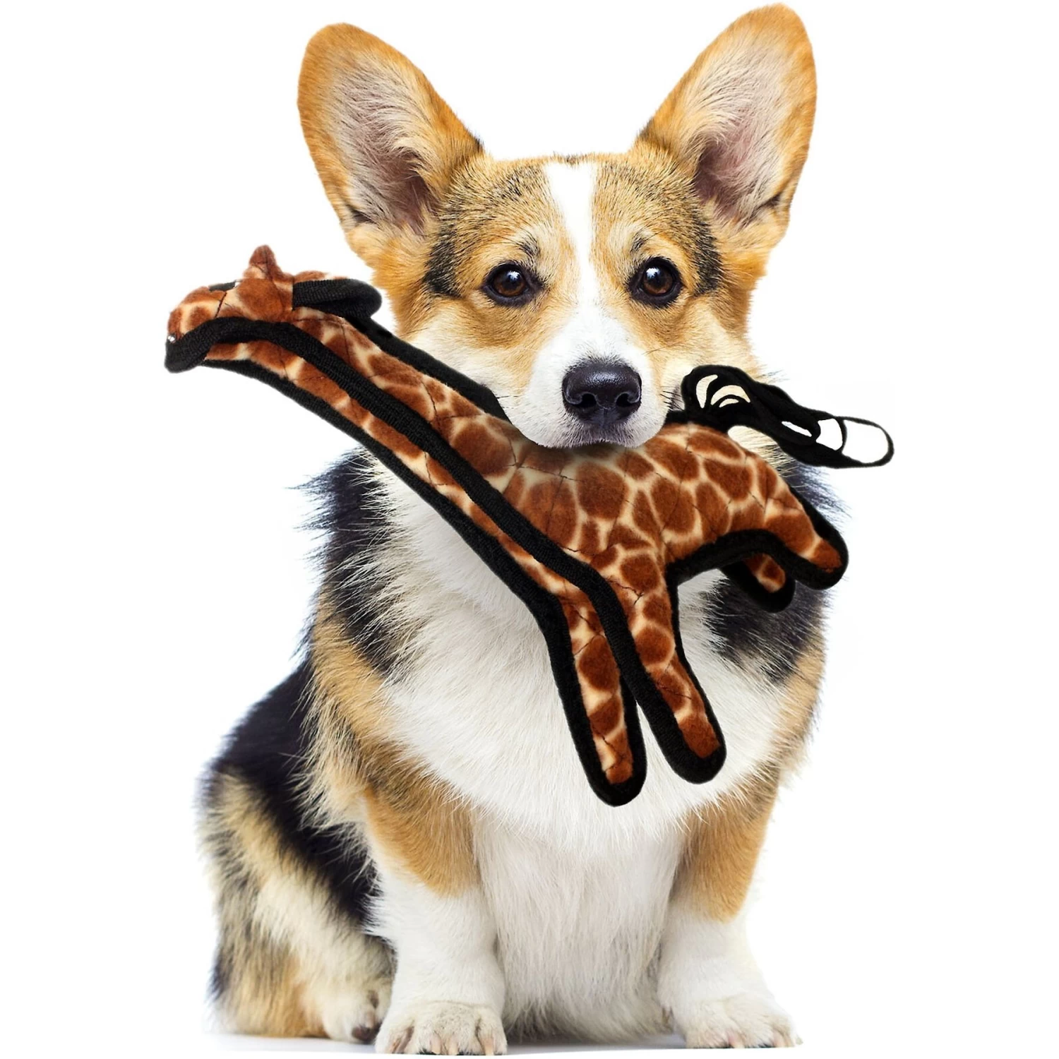 Tuffy's Jr Zoo Giraffe Plush Dog Toy - Image 3