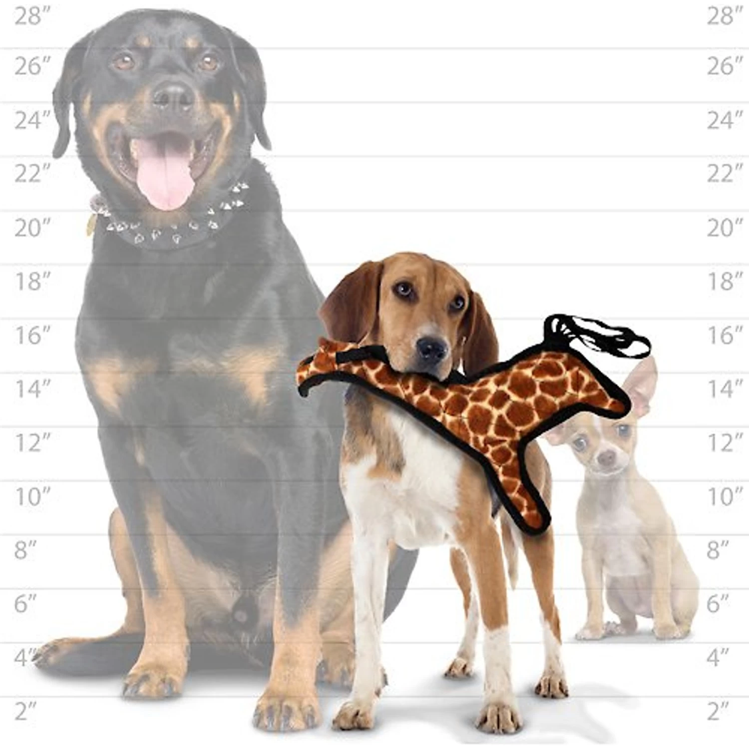 Tuffy's Jr Zoo Giraffe Plush Dog Toy - Image 4