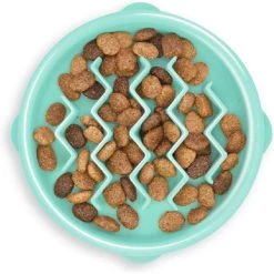 Outward Hound Non-Skid Plastic Slow Feeder Dog Bowl