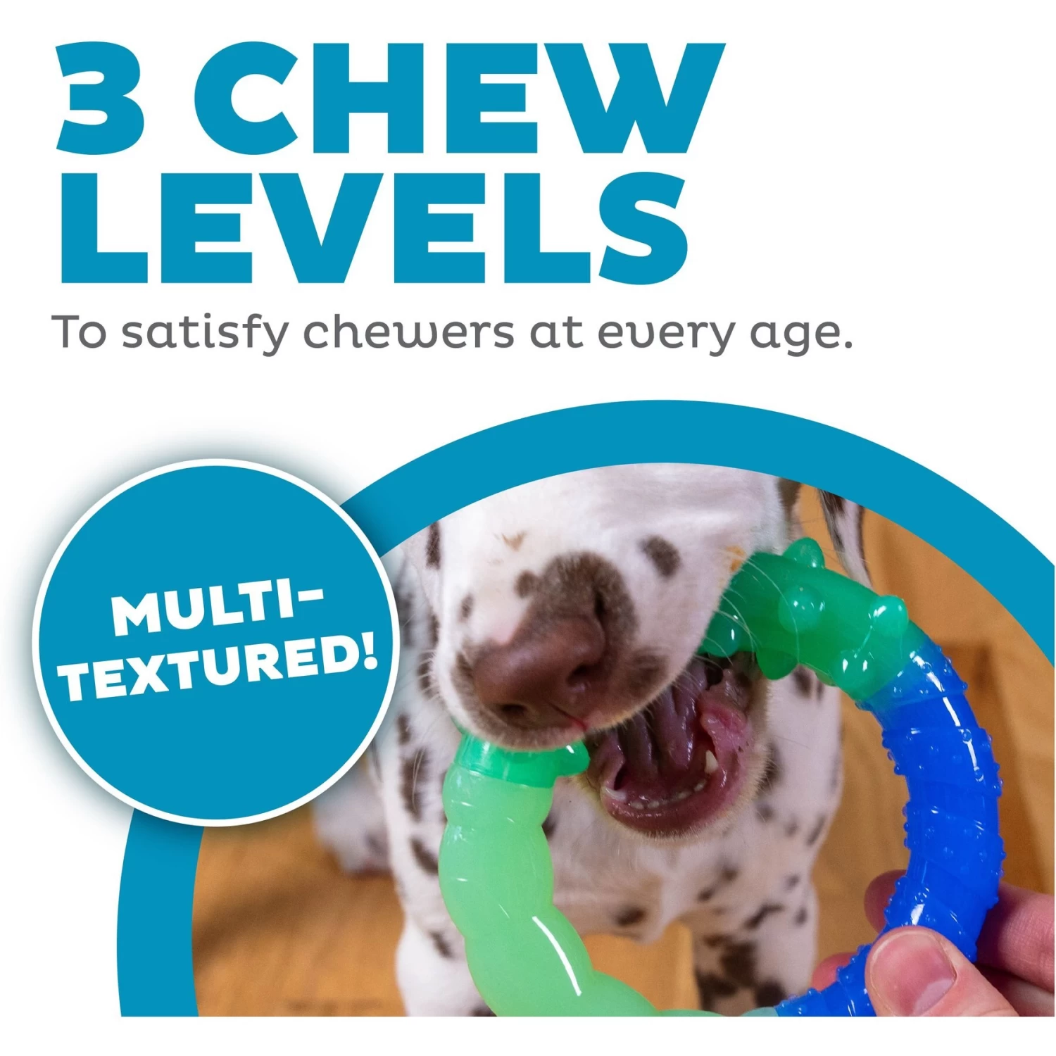 Petstages Grow With Me Ring Tough Dog Chew Toy - Image 2