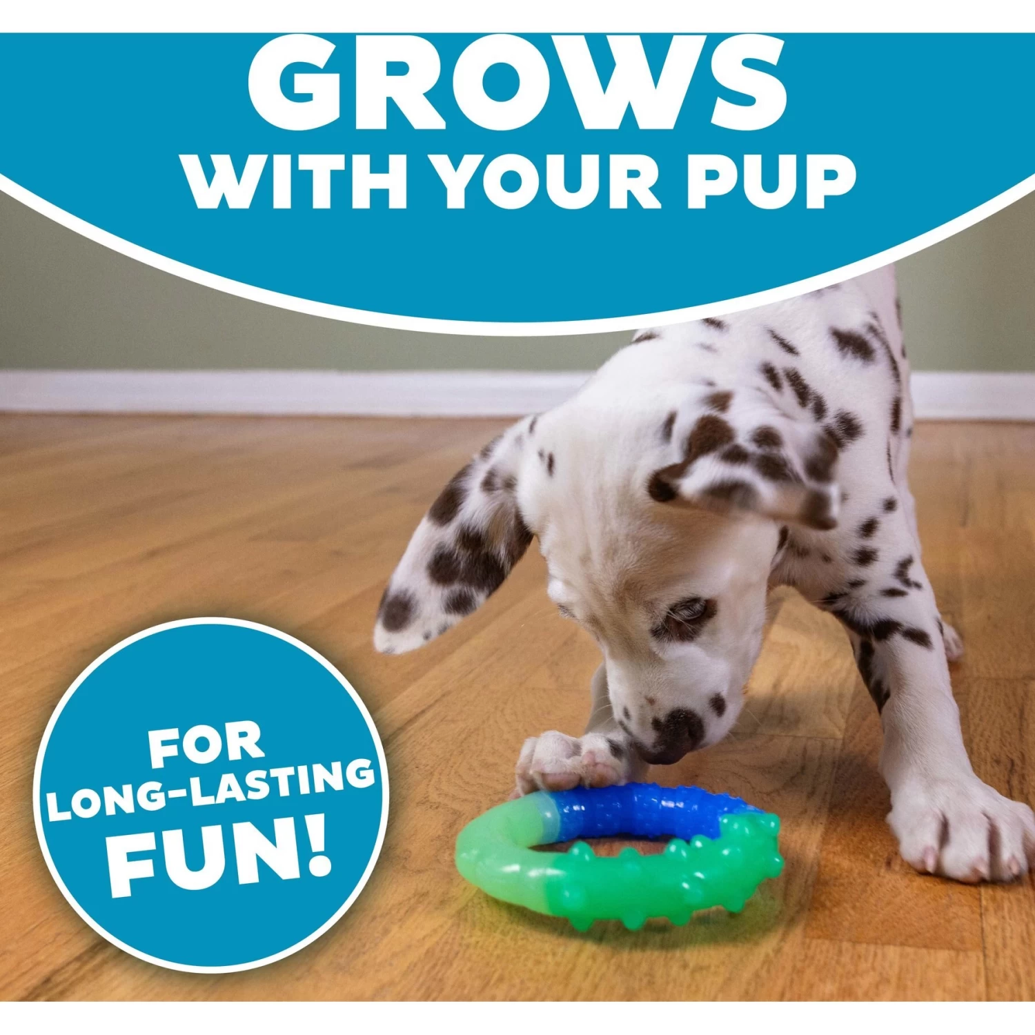 Petstages Grow With Me Ring Tough Dog Chew Toy - Image 4