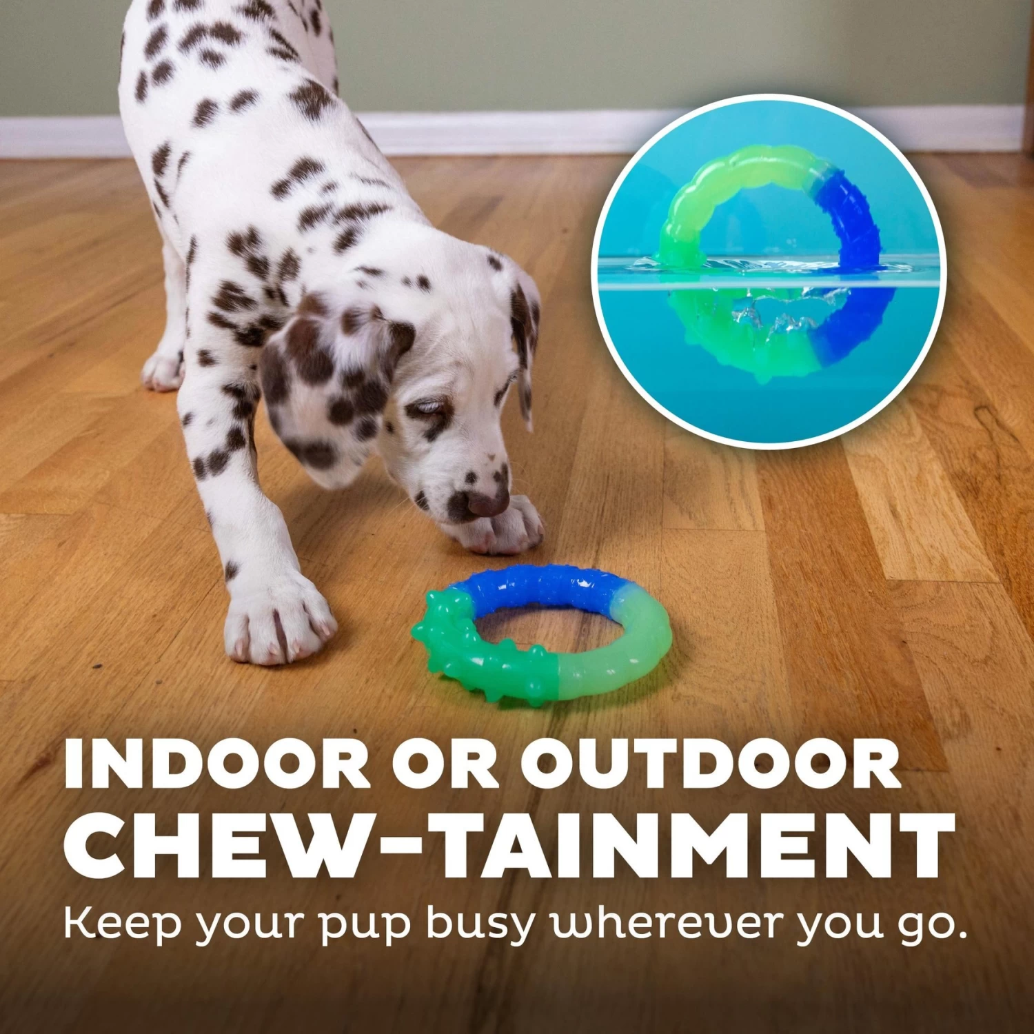 Petstages Grow With Me Ring Tough Dog Chew Toy - Image 5