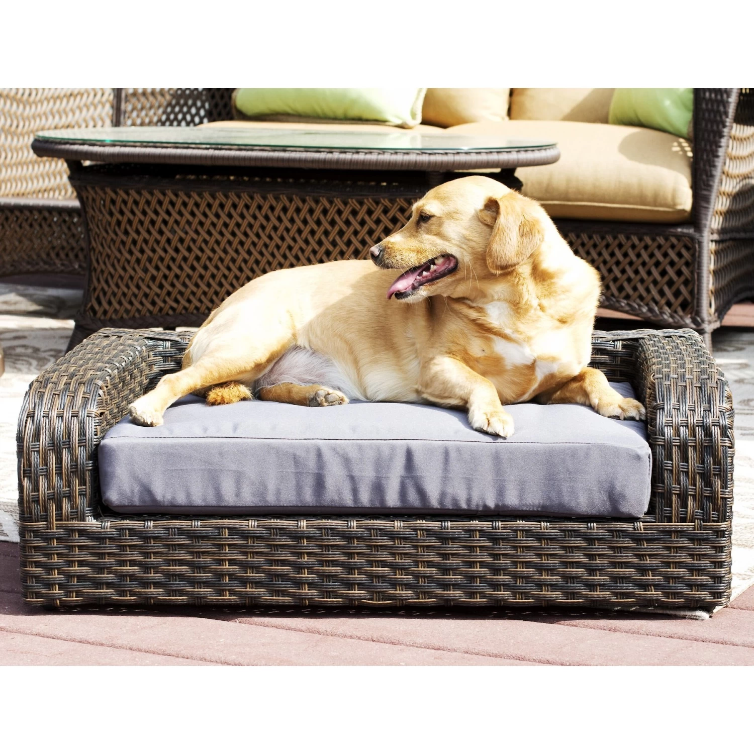 Iconic Pet Rattan Sofa Cat & Dog Bed With Removable Cover, Caramel & Mocha
