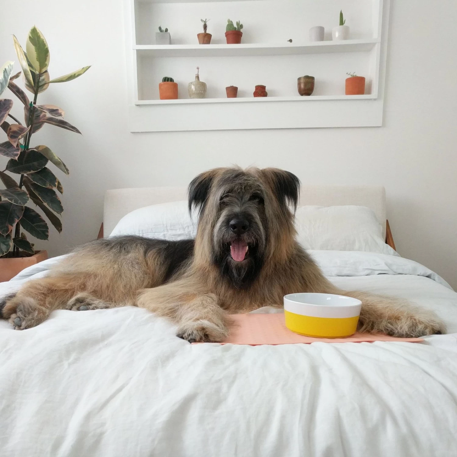 Waggo Bubble Silicone Non-skid Dog & Cat Placemat - Image 2