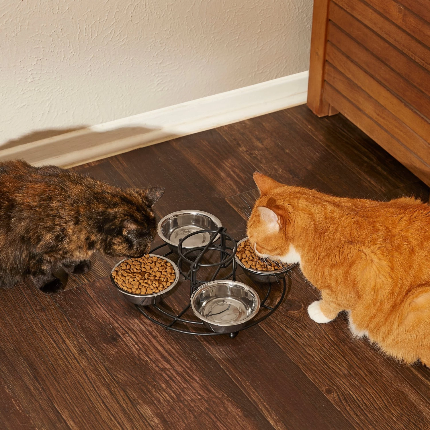 Frisco Multi Pet Feeding 4-Bowls Stainless Steel Dog & Cat Bowls, 0.5 Cup - Image 6