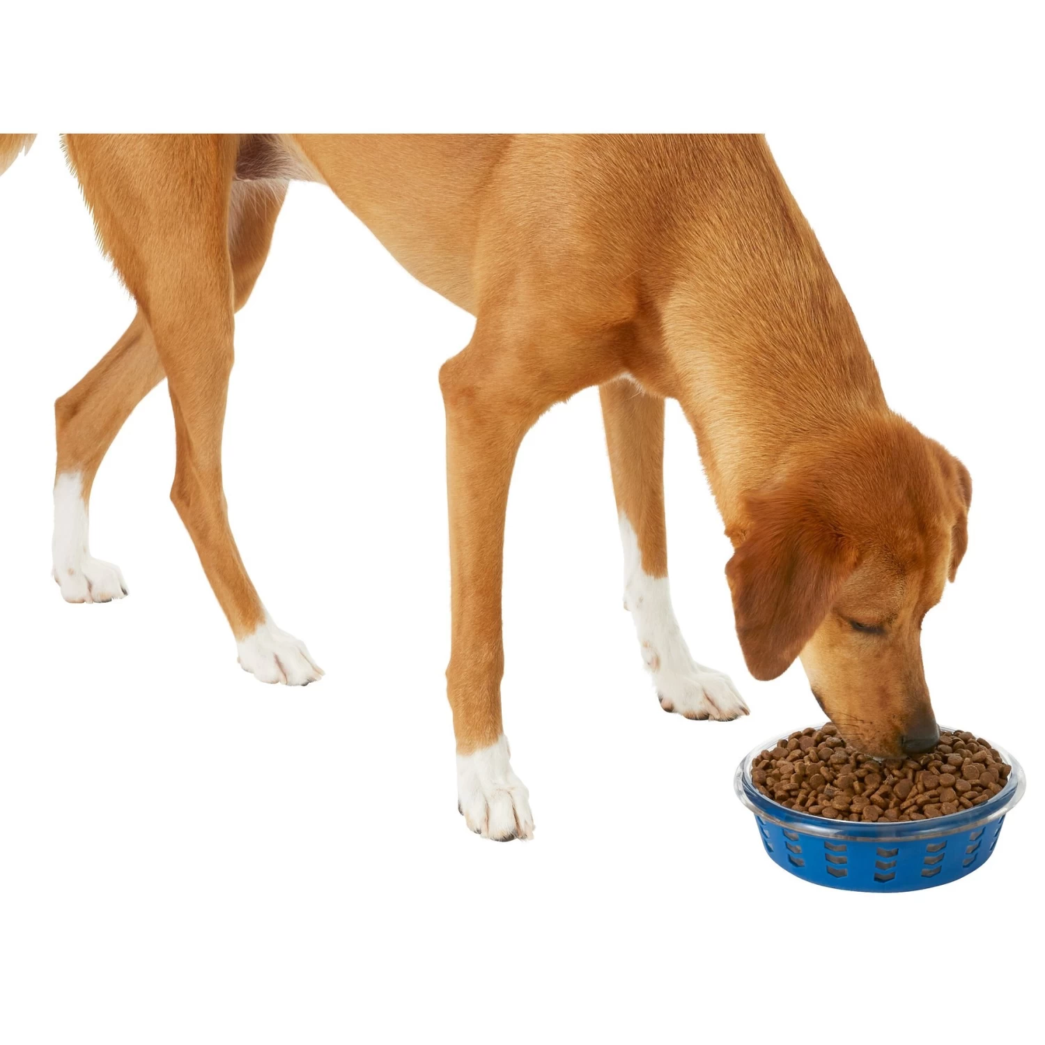 Frisco Chevron Design Glass Bowl With Silicone Sleeve - Image 5