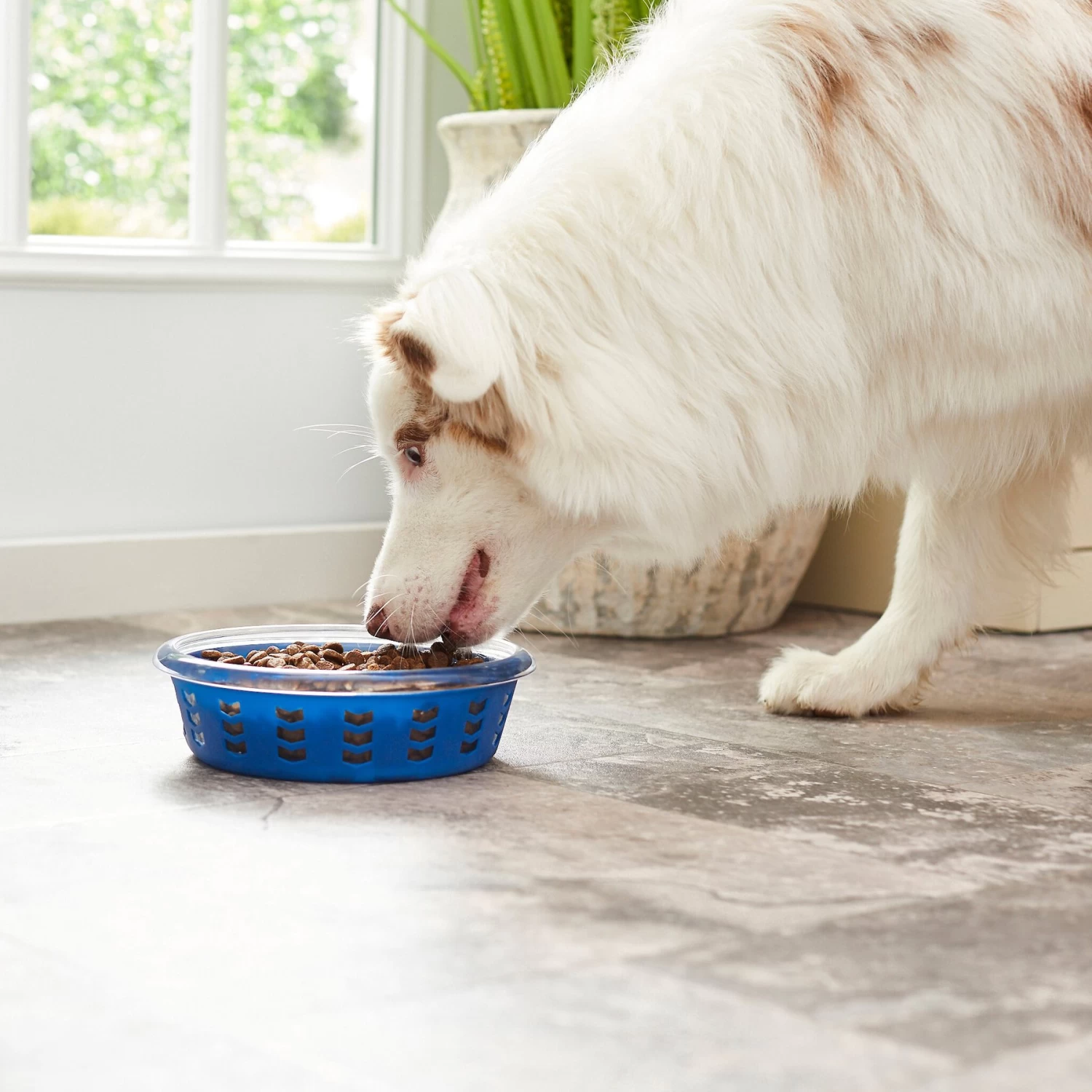 Frisco Chevron Design Glass Bowl With Silicone Sleeve - Image 6