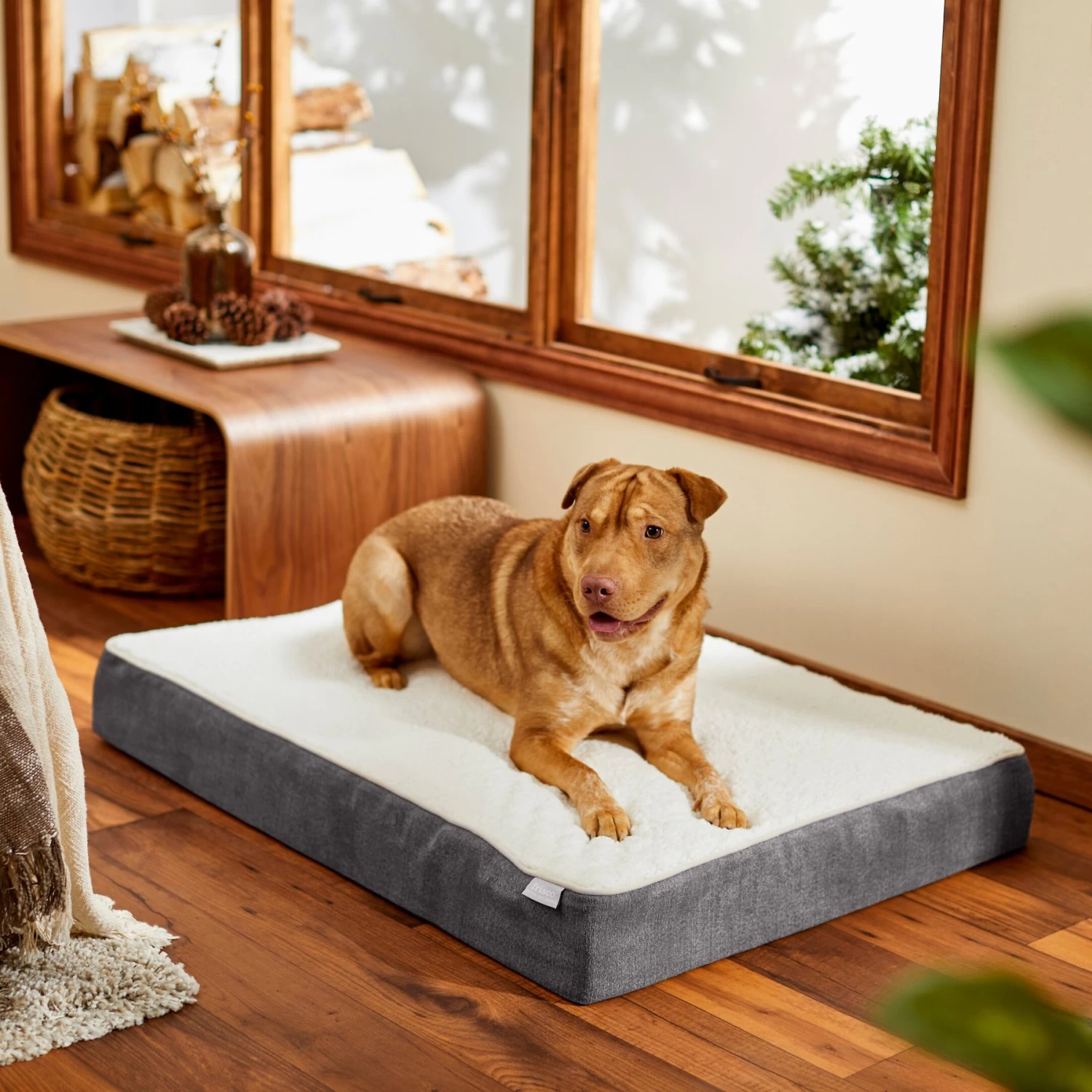 Frisco Orthopedic Pillow Cat & Dog Bed