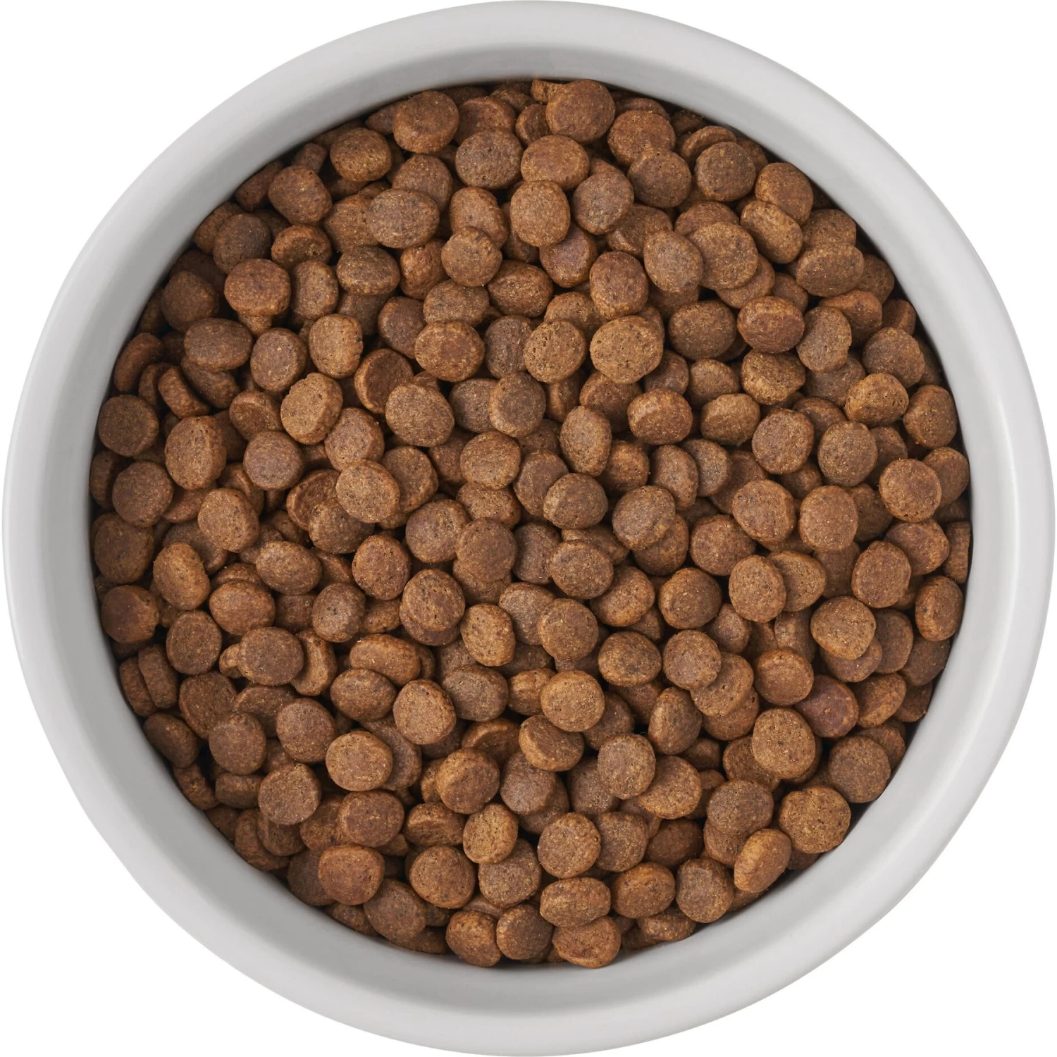 Frisco Bones Non-skid Ceramic Dog & Cat Bowl - Image 6