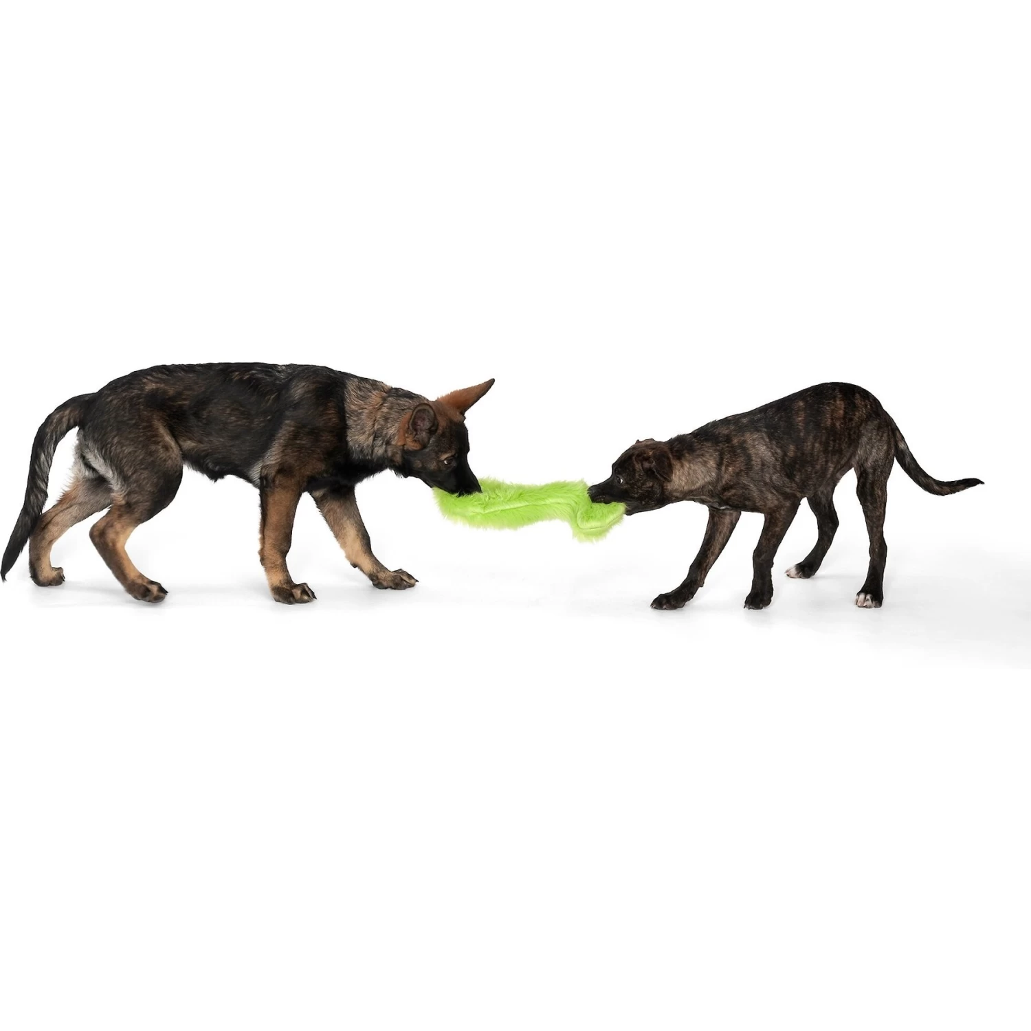 West Paw Geraldine Squeaky Stuffing-Free Plush Dog Toy - Image 2