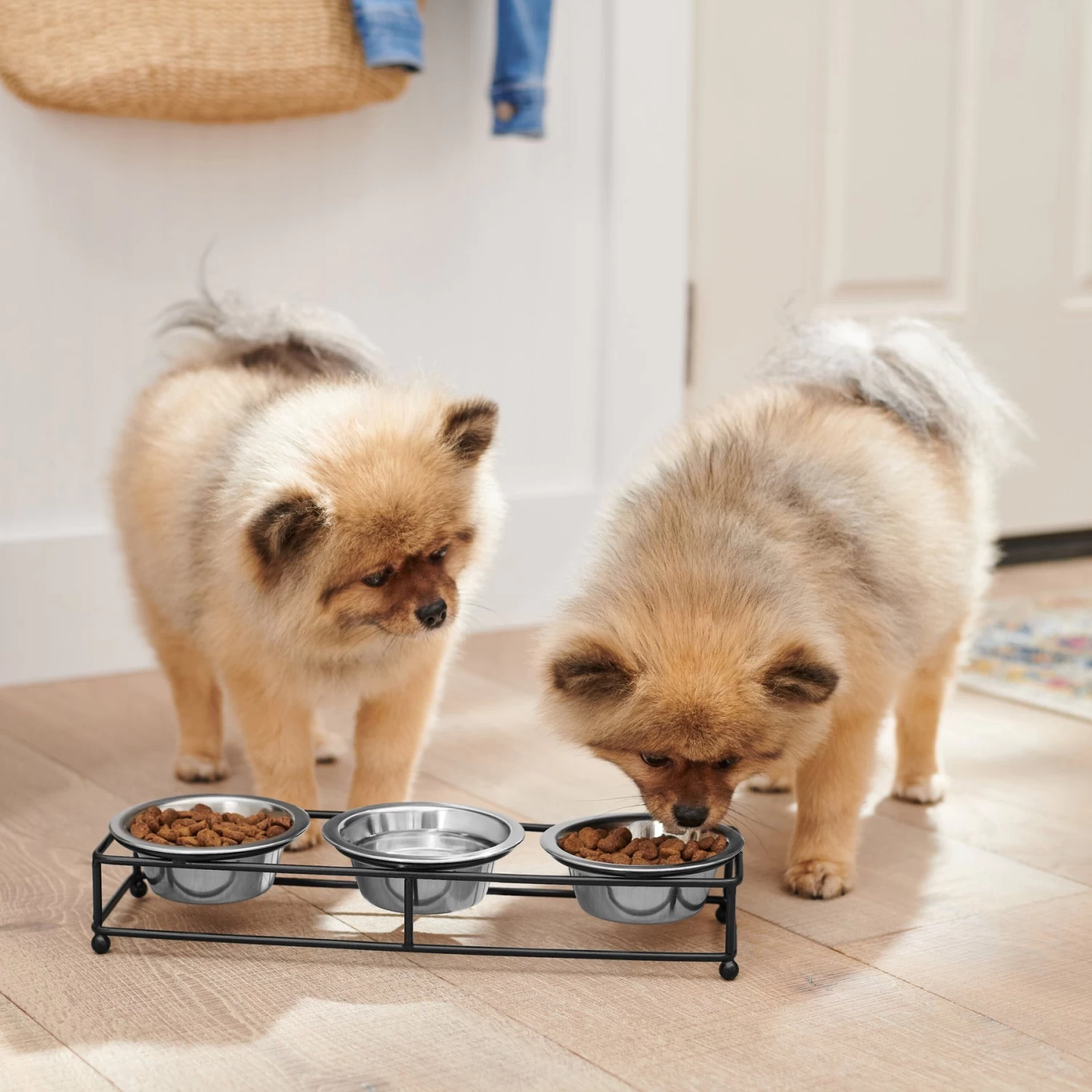 Frisco Multi Pet Feeding 3-Bowls Straight Stainless Steel Dog & Cat Bowl - Image 3