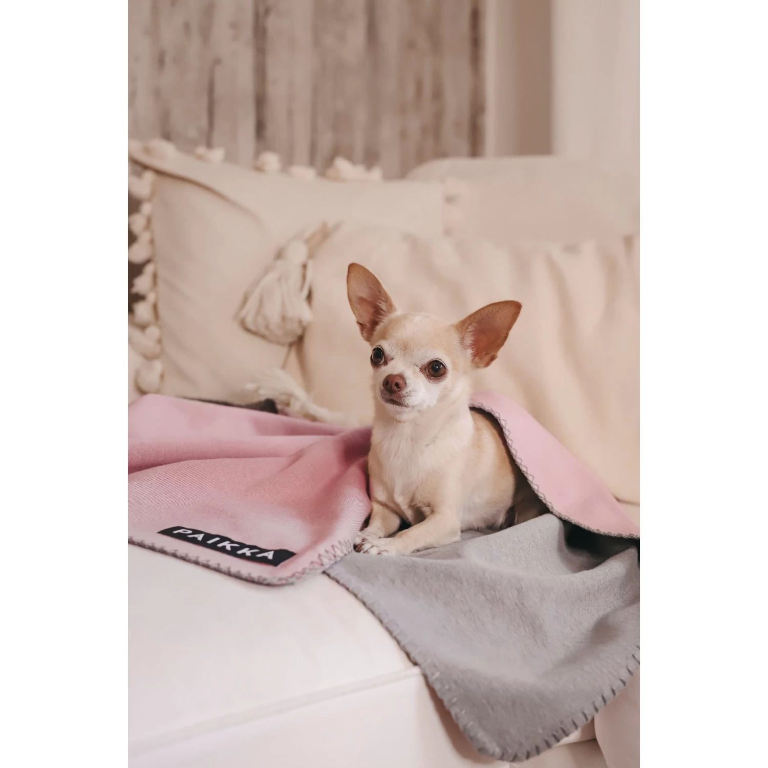 PAIKKA Recovery Dog Blanket - Image 4