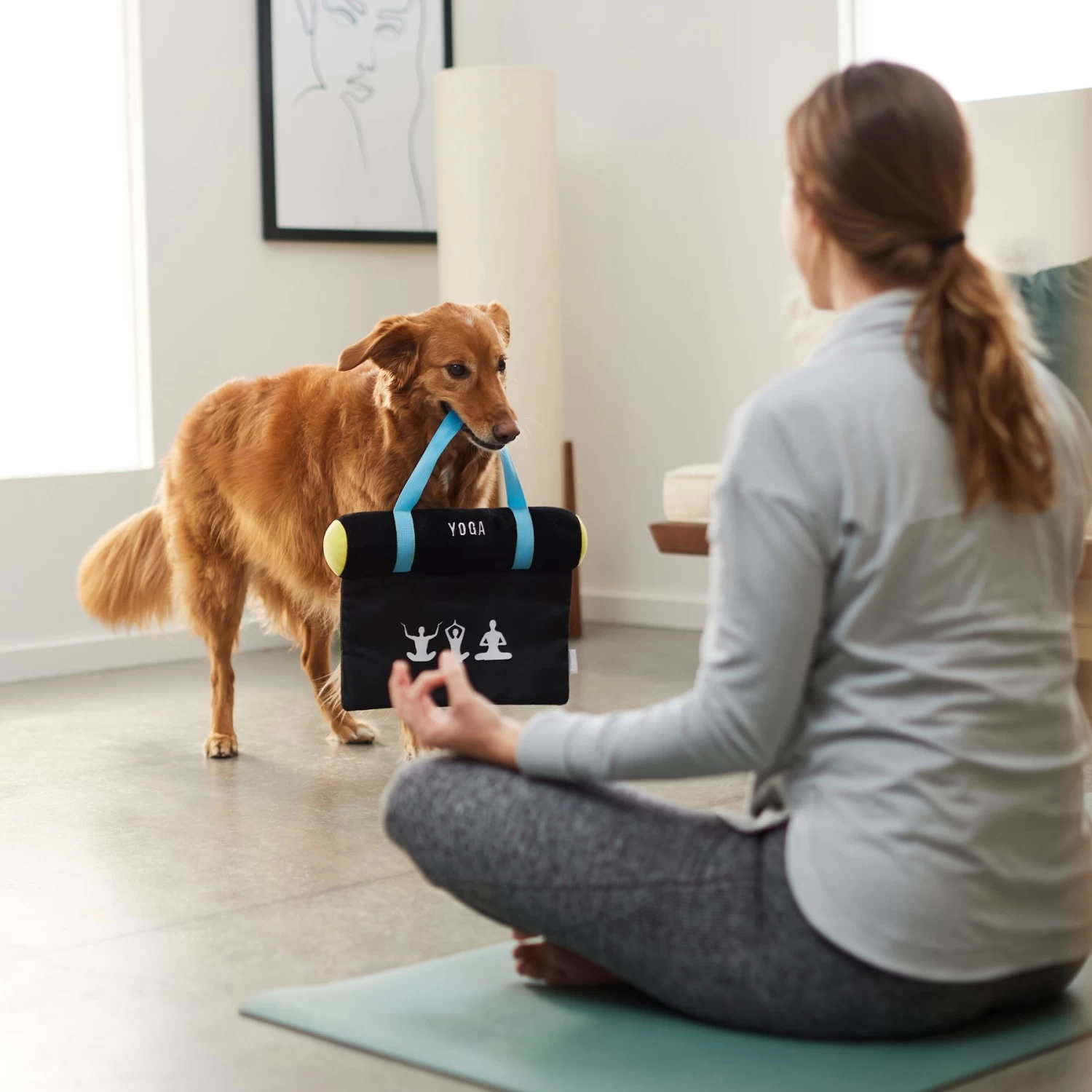 Frisco Yoga Mat Plush Squeaky Dog Toy - Image 3