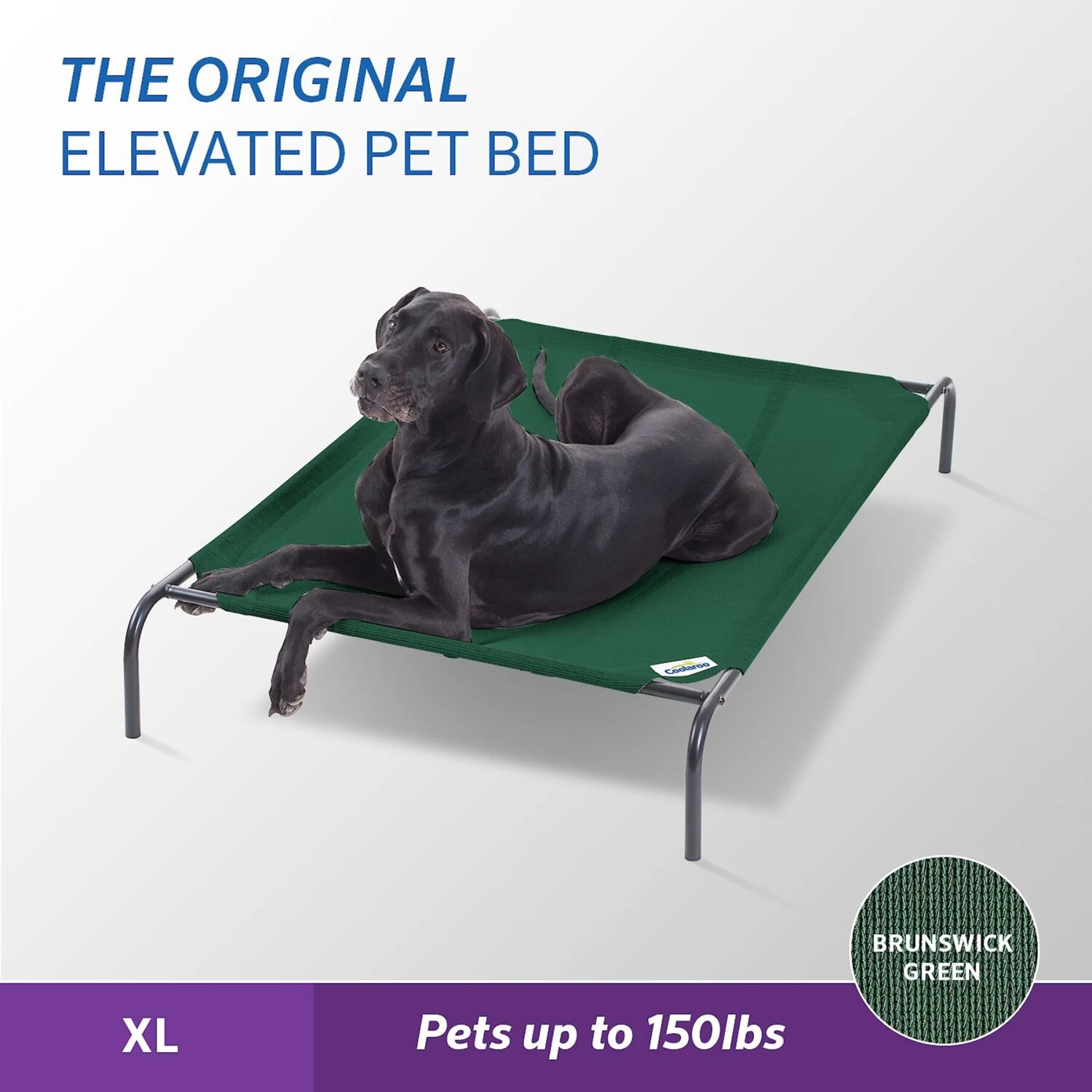 Coolaroo Steel-Framed Elevated Dog Bed - Image 8
