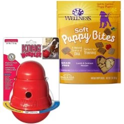 KONG Wobbler Dog Toy & Wellness Soft Puppy Bites Lamb & Salmon Recipe Grain-Free Natural Dog Treats