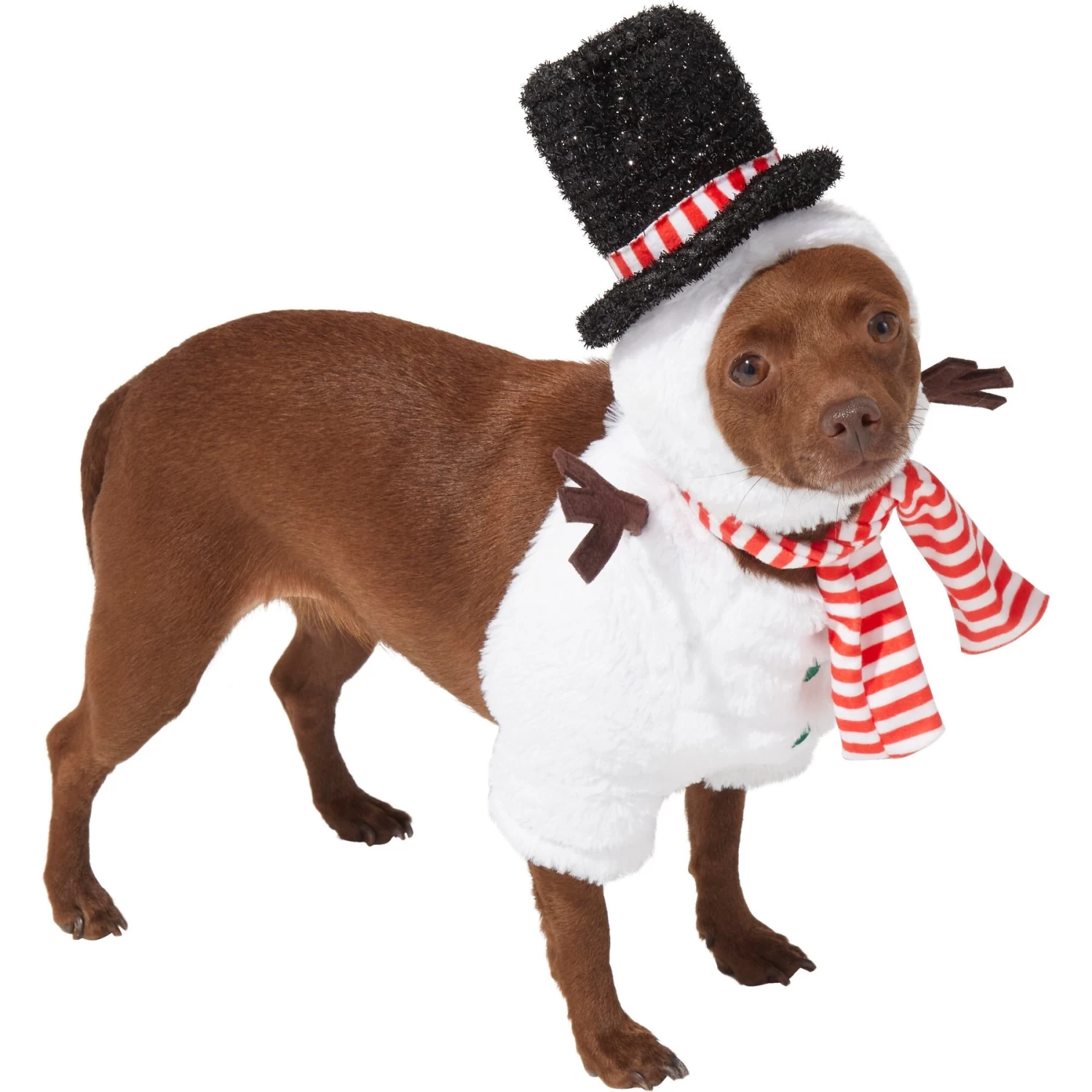 Frisco Front Walking Snowman Dog & Cat Costume - Image 3