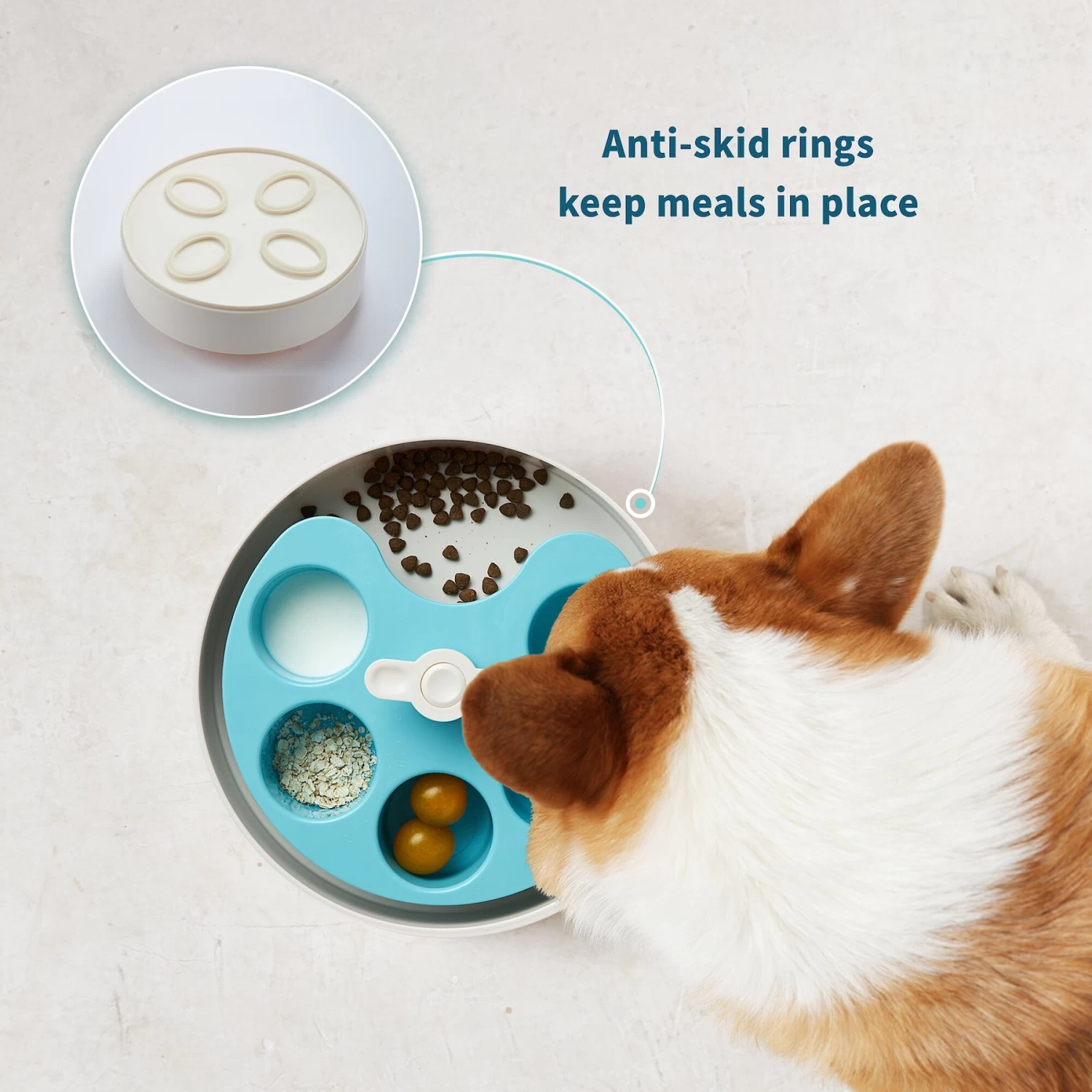 Pet Dream House SPIN Medium Level Palette Non-Skid Plastic Interactive Slow Feeder Dog Bowl, Blue - Image 5
