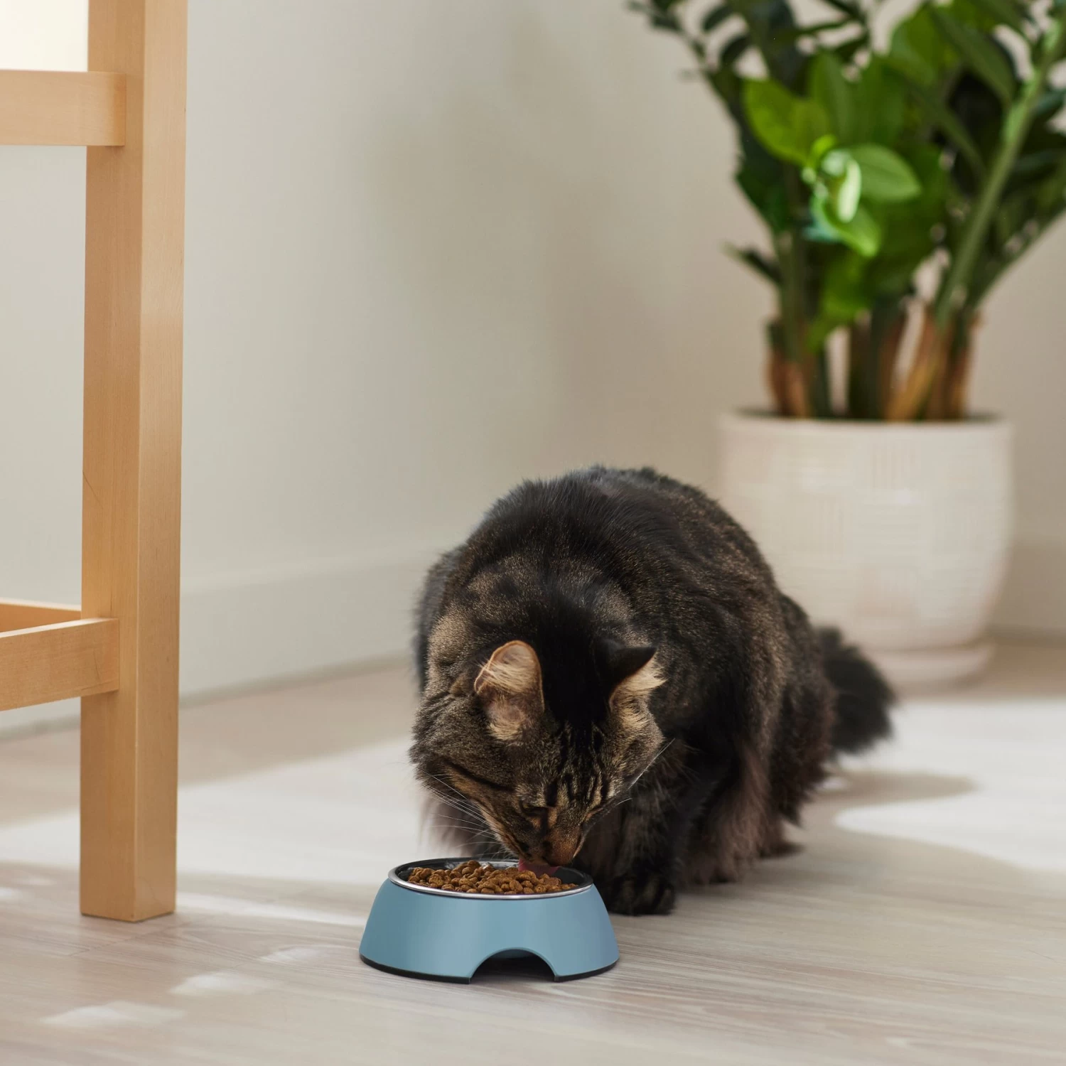 Frisco Coral Design Stainless Steel Dog & Cat Bowl - Image 4