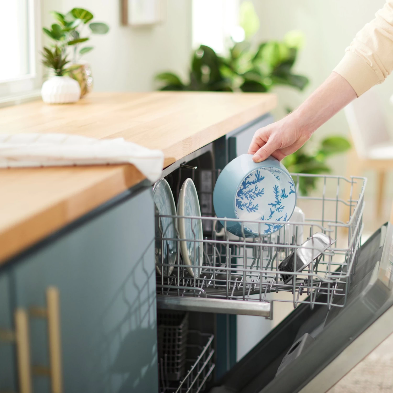 Frisco Coral Design Stainless Steel Dog & Cat Bowl - Image 8