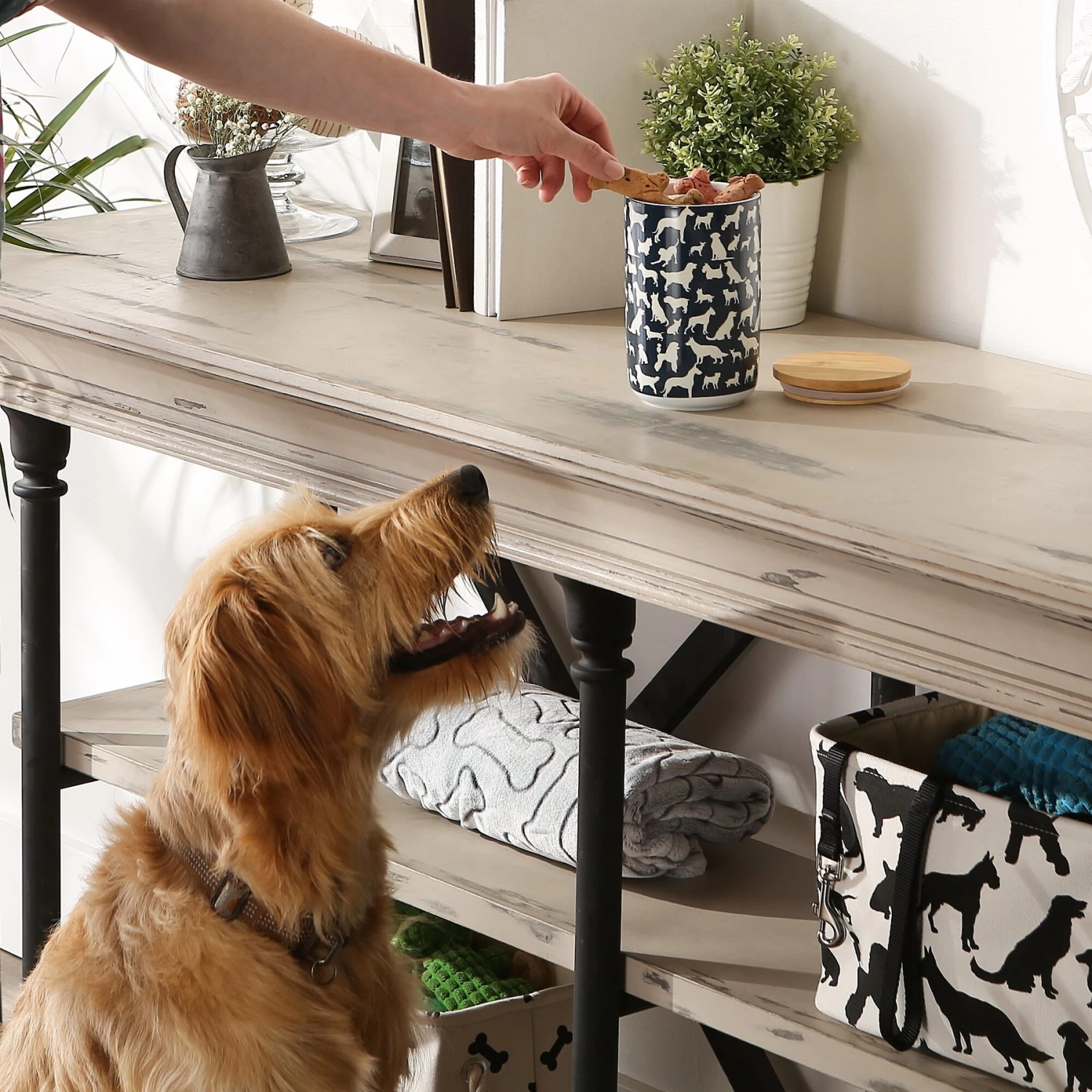 Bone Dry Ceramic Show Dog Treat Canister - Image 5