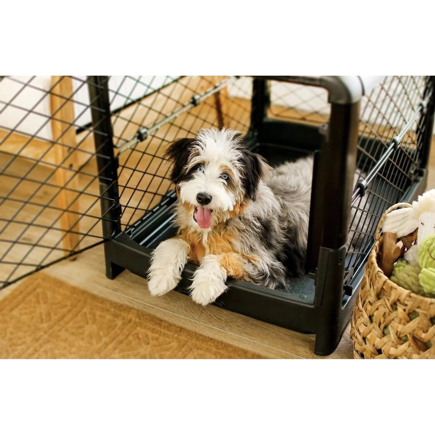 Diggs Revol Collapsible Dog Crate - Image 7