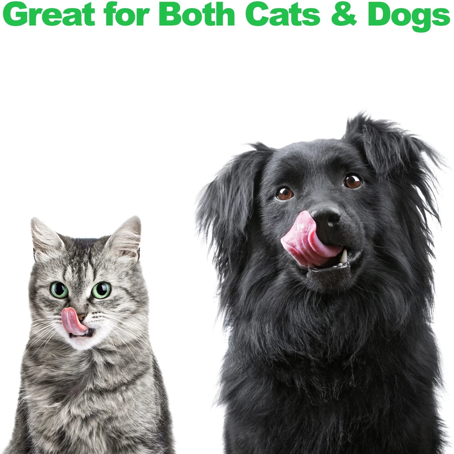 Pet Adobe Modern Double Elevated Dog Bowl - Image 5