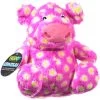 Caitec Chuckles Pig Dog Toy