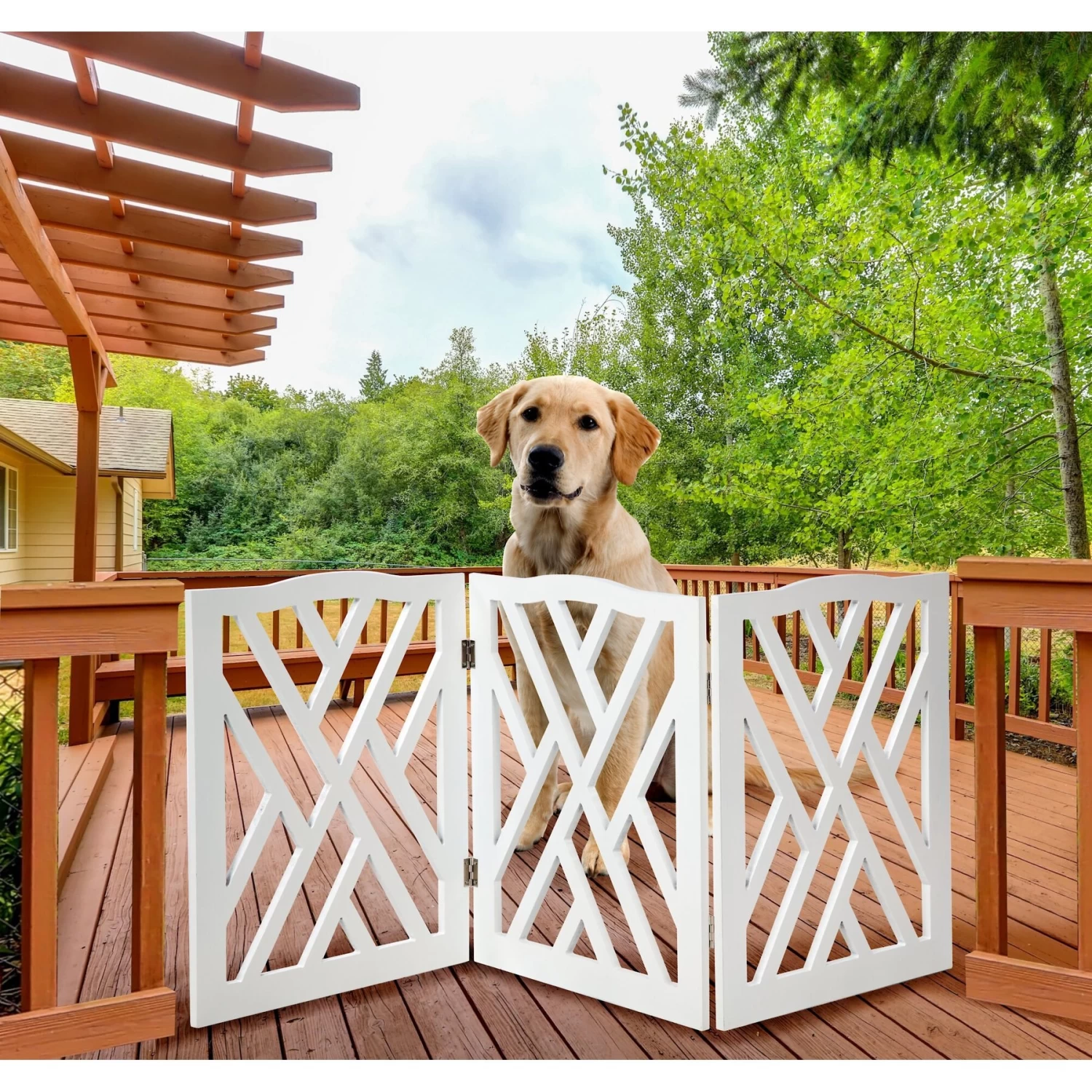 Etna White Lattice Wooden Dog Gate - Image 3
