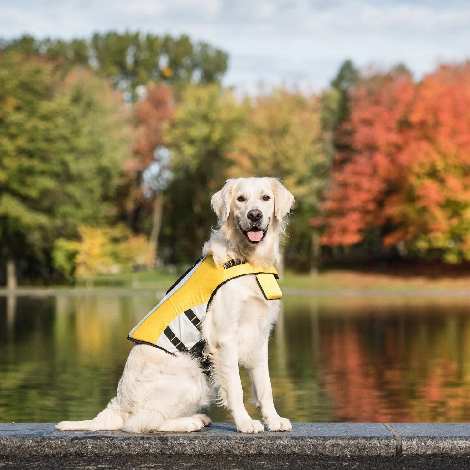 GF Pet Life Vest Dog Jacket, Yellow - Image 7
