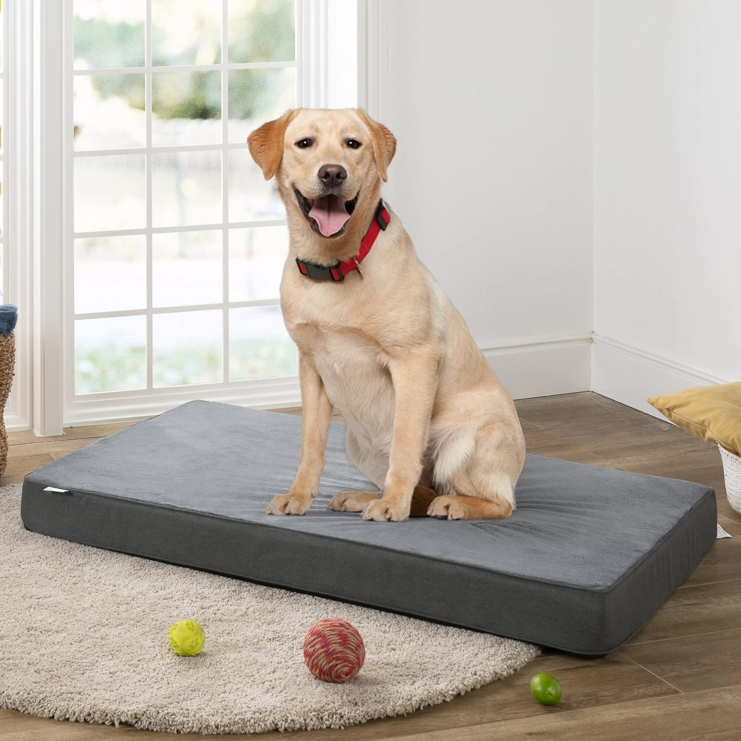 Zinus Green Tea Dog Bed, Dark Grey, 4-in - Image 3