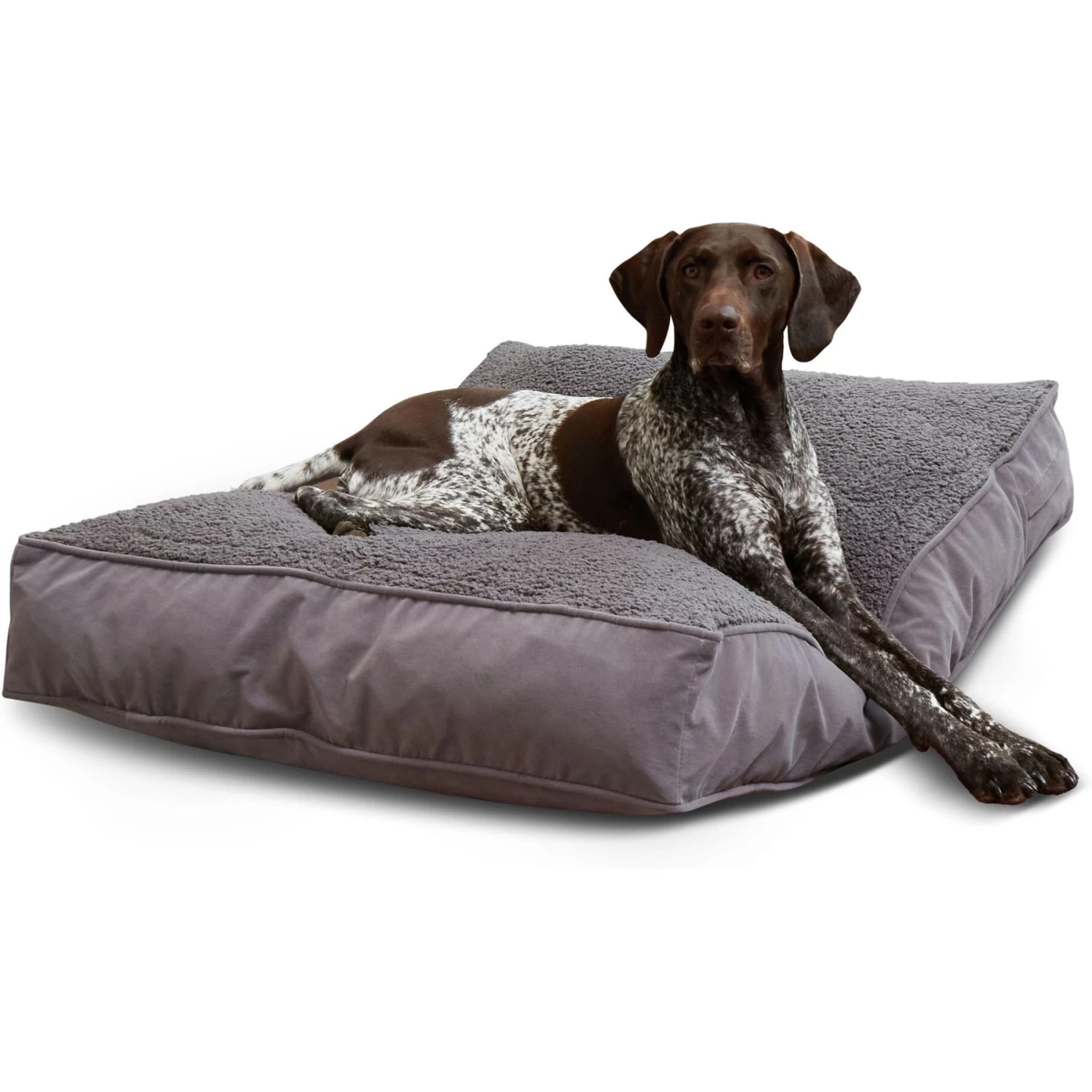 Happy Hounds Bailey Removable Cover Rectangle Pillow Dog Bed, Gray - Image 4
