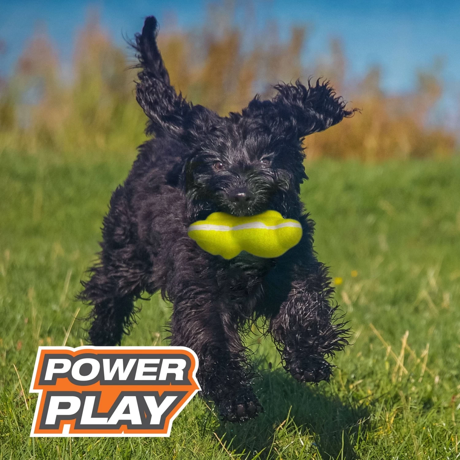 Nylabone Power Play Tennis Teddy Gripz Dog Toy - Image 5