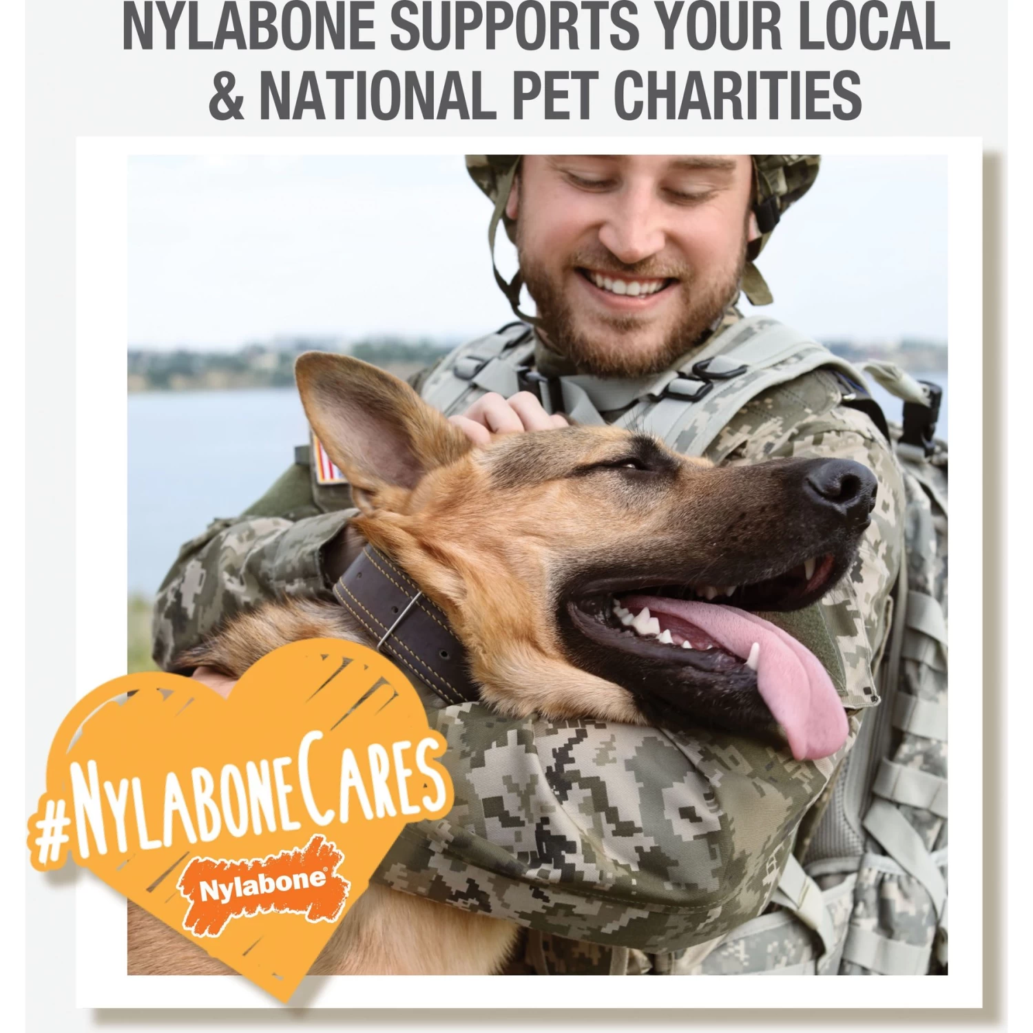 Nylabone Power Play Tennis Teddy Gripz Dog Toy - Image 8