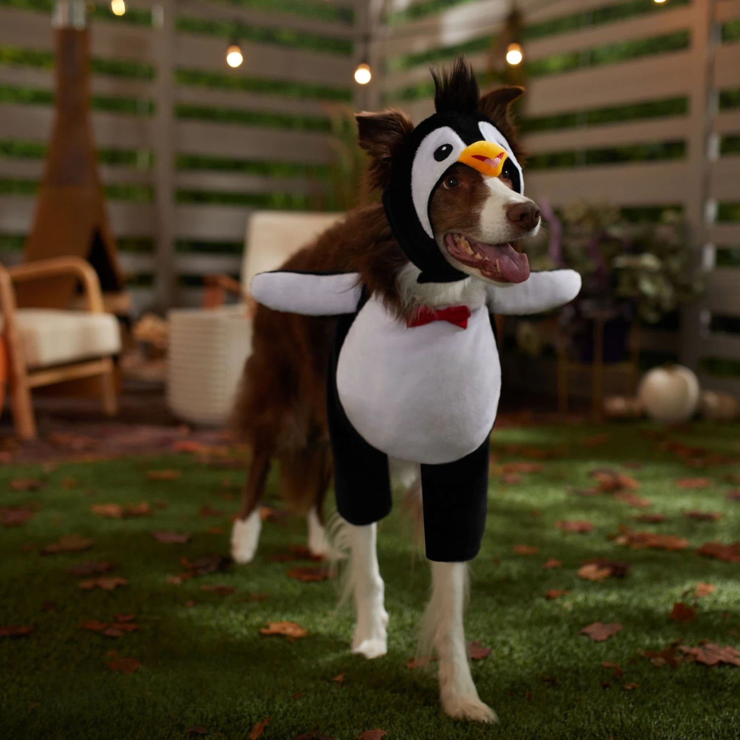 Frisco Front Walking Penguin Dog & Cat Costume - Image 7