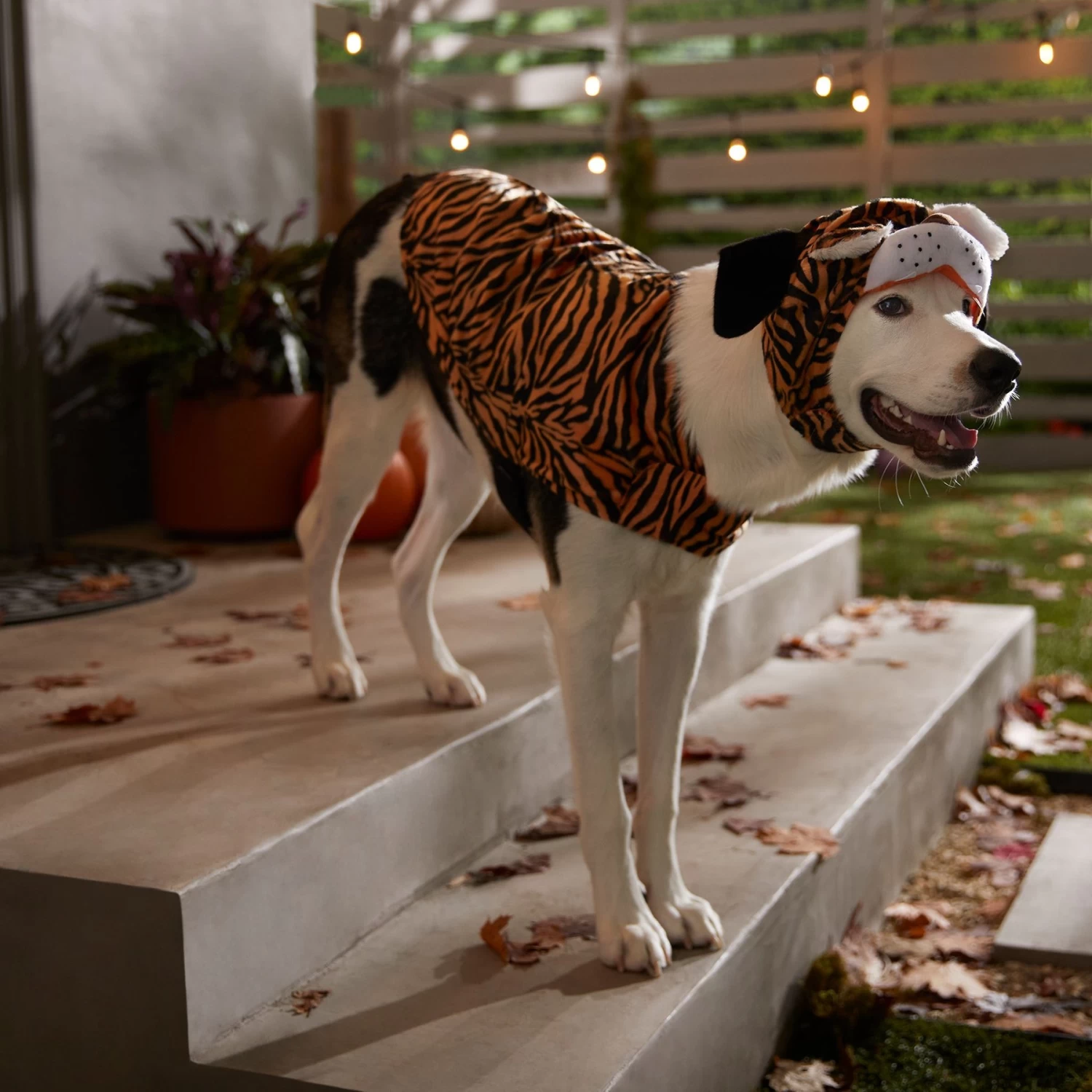 Frisco Tiger Dog & Cat Costume - Image 6